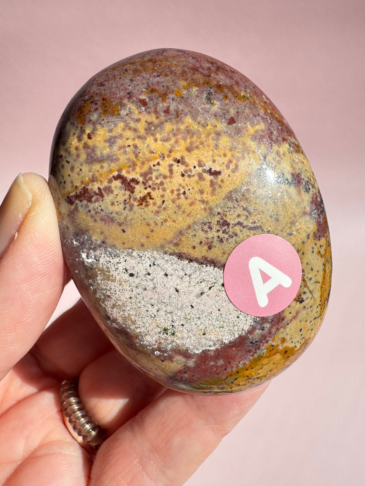 Unicorn Jasper Palm Stone - Item A