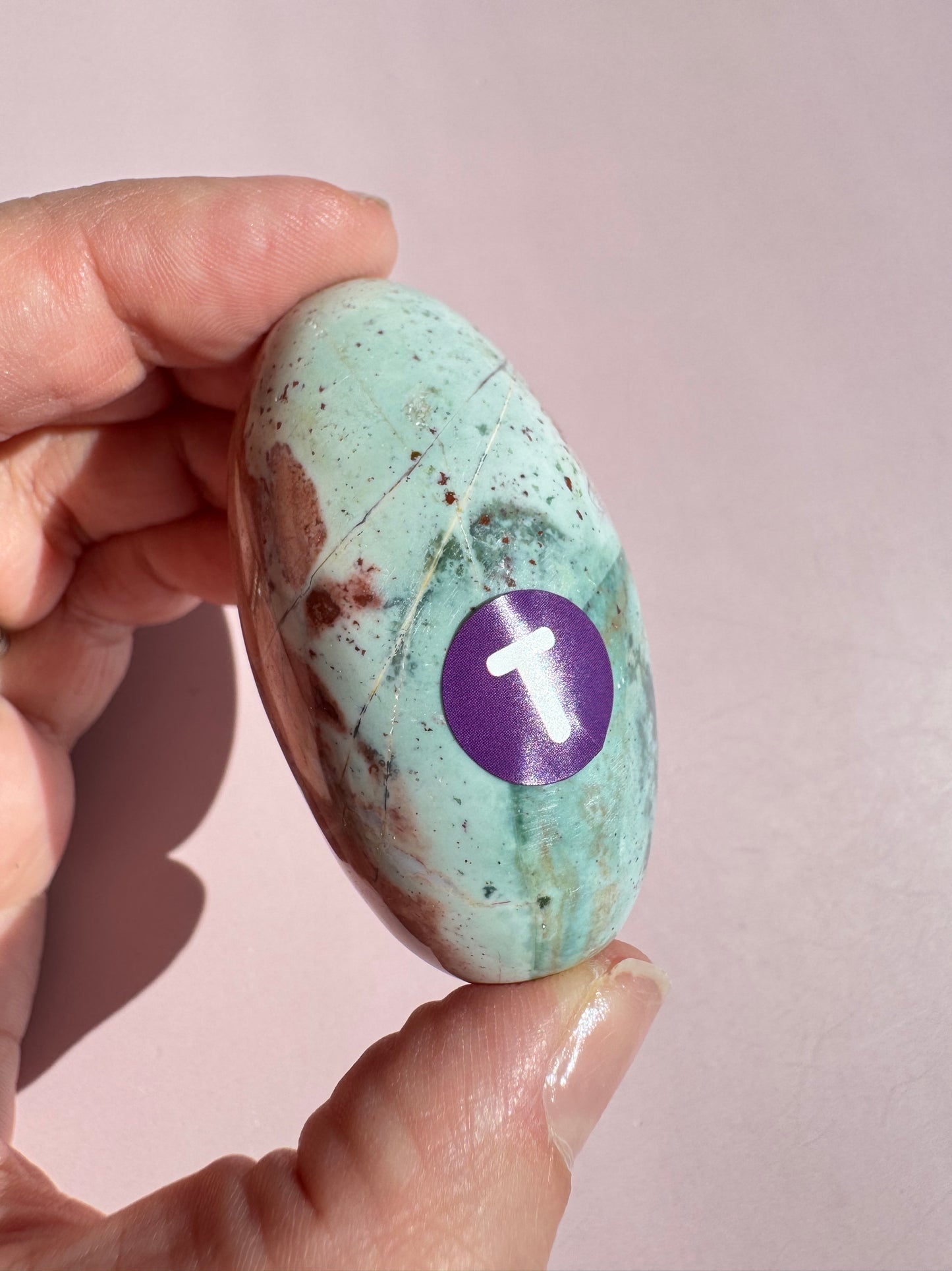Unicorn Jasper Lingam - from India (Item T)