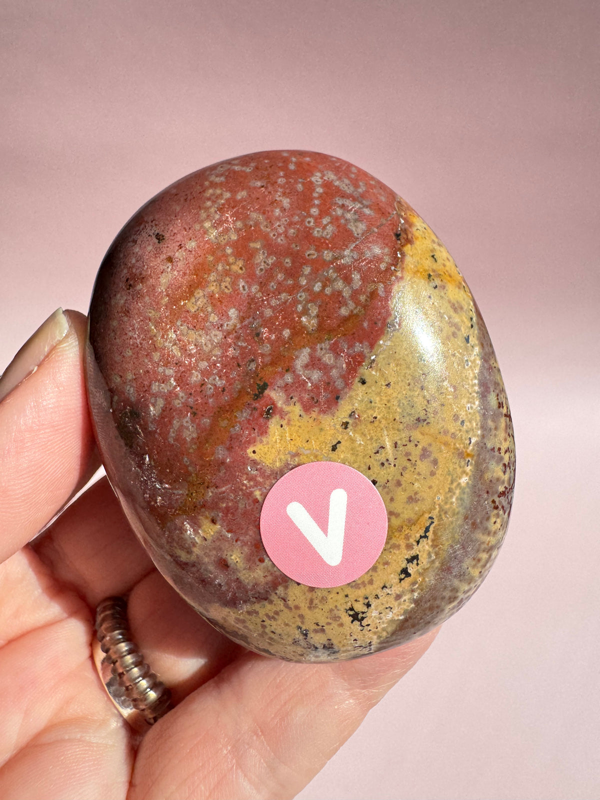 Unicorn Jasper Palm Stone - Item V