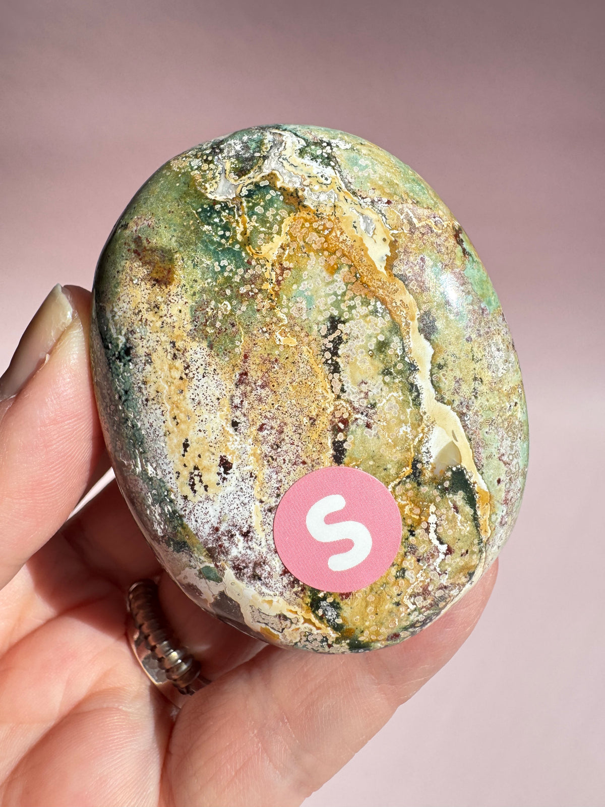Unicorn Jasper Palm Stone - Item S