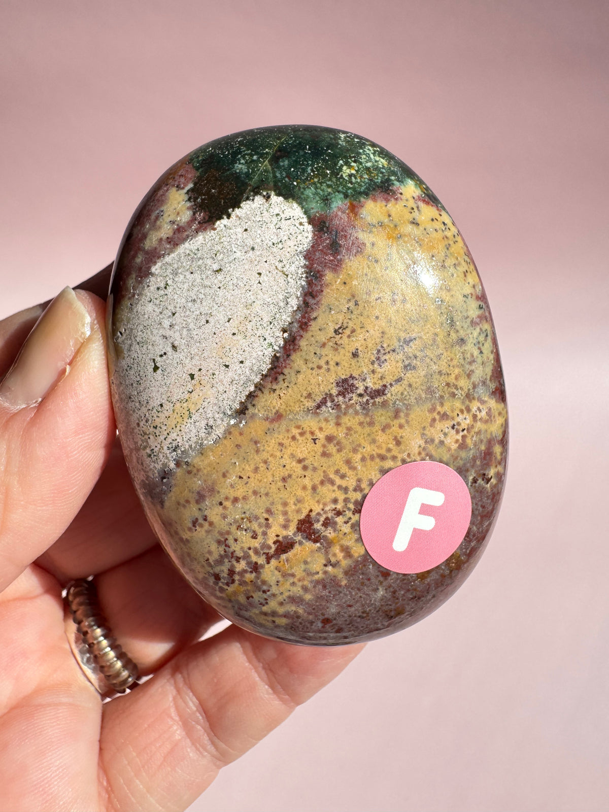 Unicorn Jasper Palm Stone - Item F