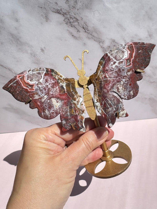 Mexican Crazy Lace Agate Butterfly Wings with Stand