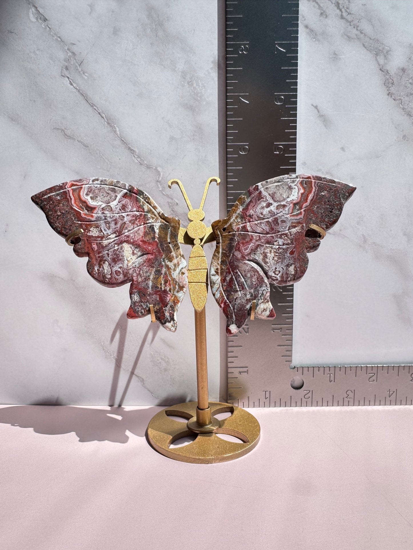 Mexican Crazy Lace Agate Butterfly Wings with Stand