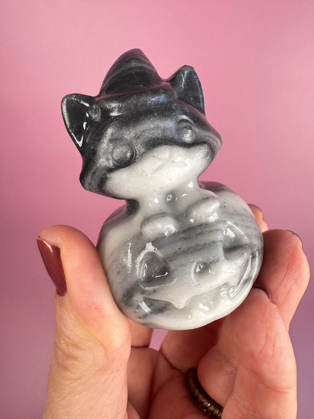 Tai Chi Stone Halloween Cat on Pumpkin Carving