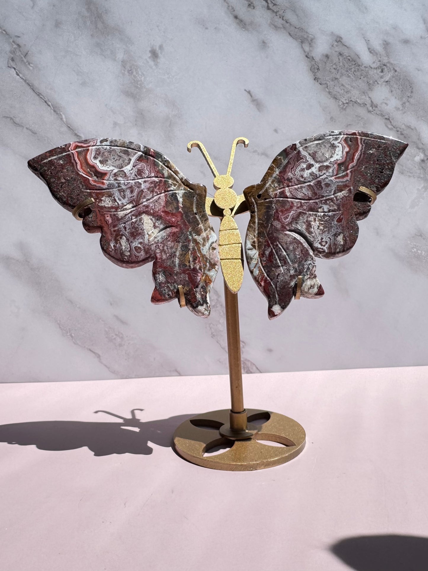 Mexican Crazy Lace Agate Butterfly Wings with Stand