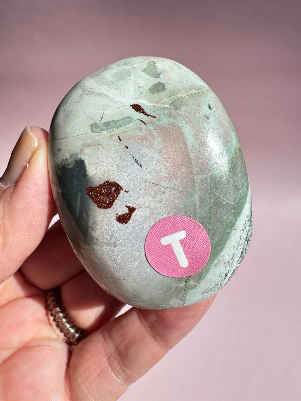 Unicorn Jasper Palm Stone - Item T