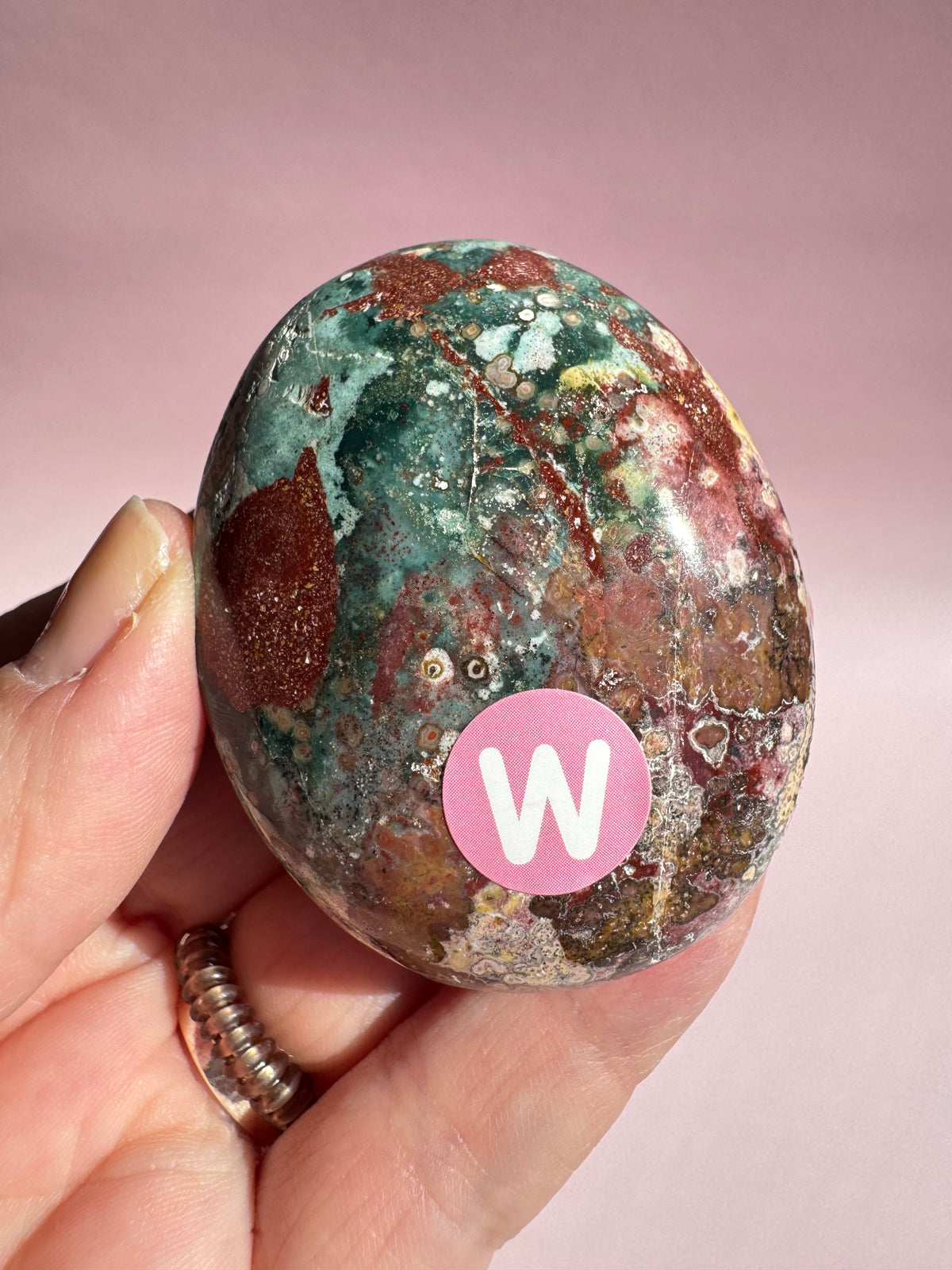 Unicorn Jasper Palm Stone - Item W