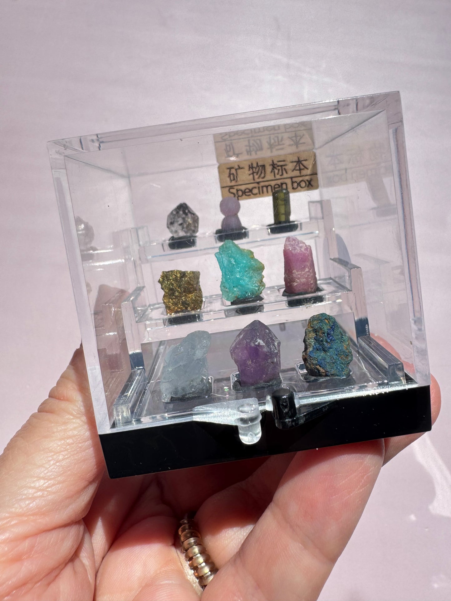 Mini Specimens Box - Set D