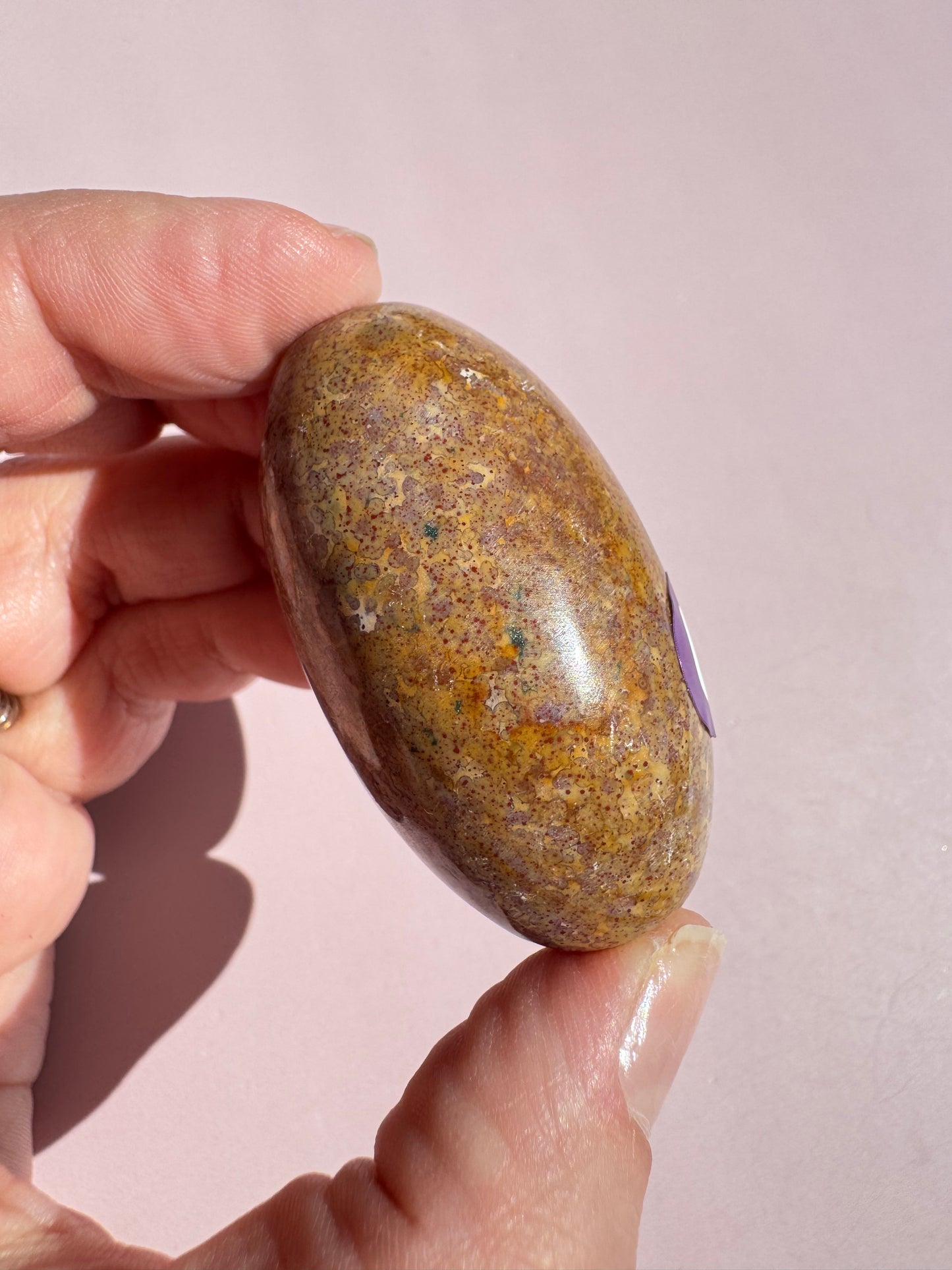 Unicorn Jasper Lingam - from India (Item U)