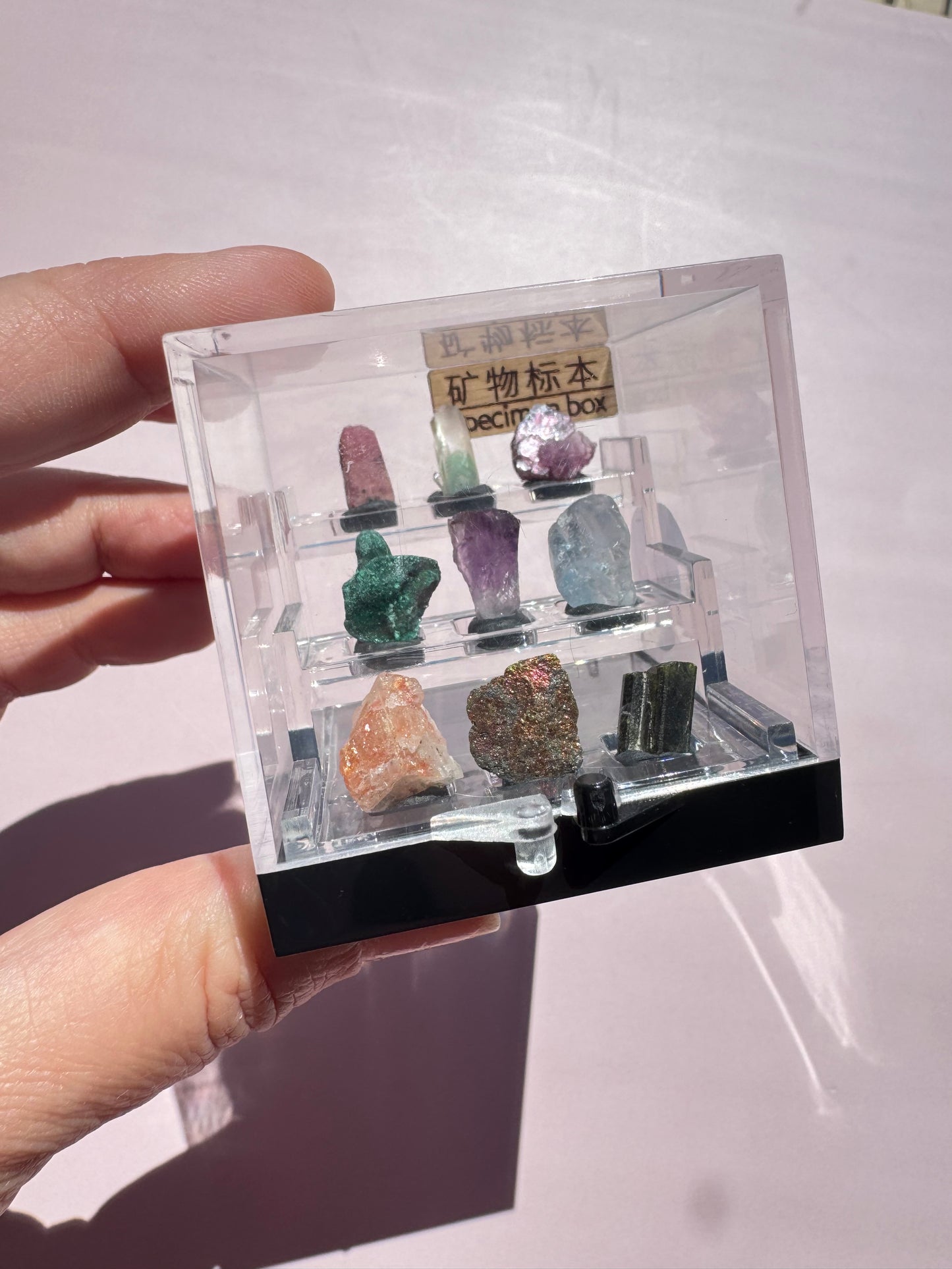 Mini Specimens Box - Set A