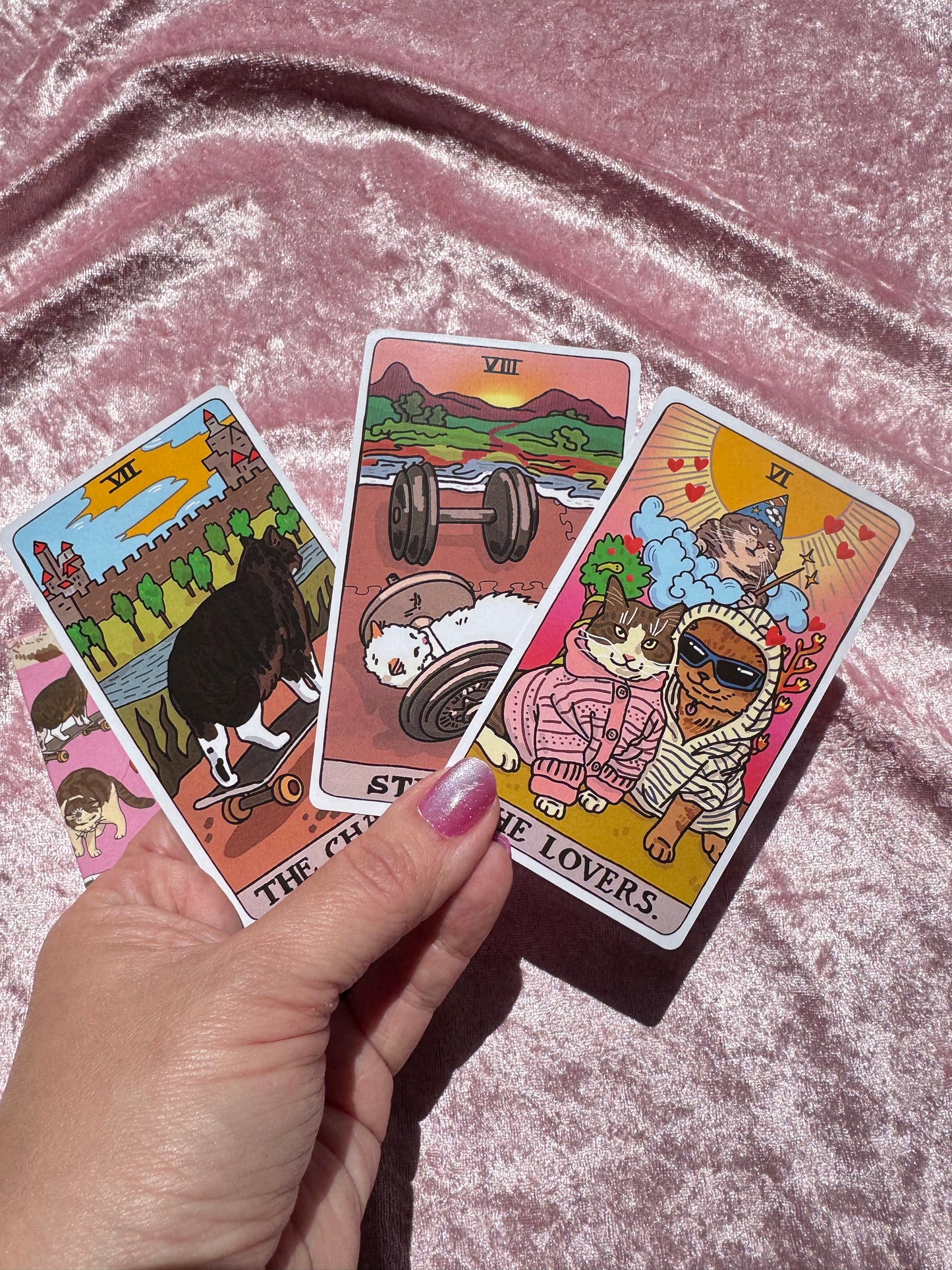 Meme Cat Tarot Card Deck