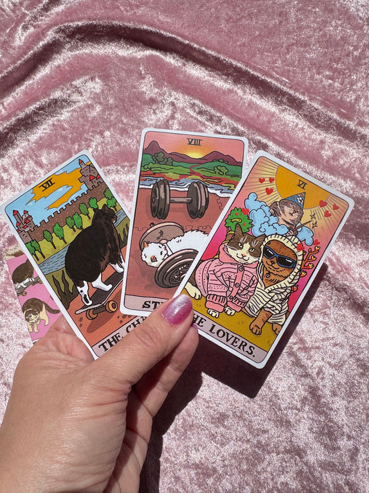 Meme Cat Tarot Card Deck