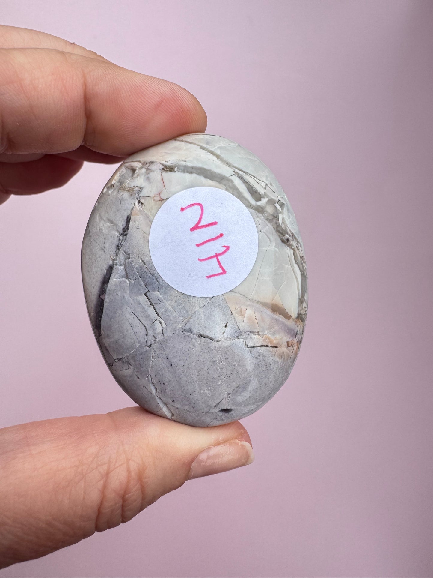 Hyacinth Jasper Palm Stone from Utah - ITEM N