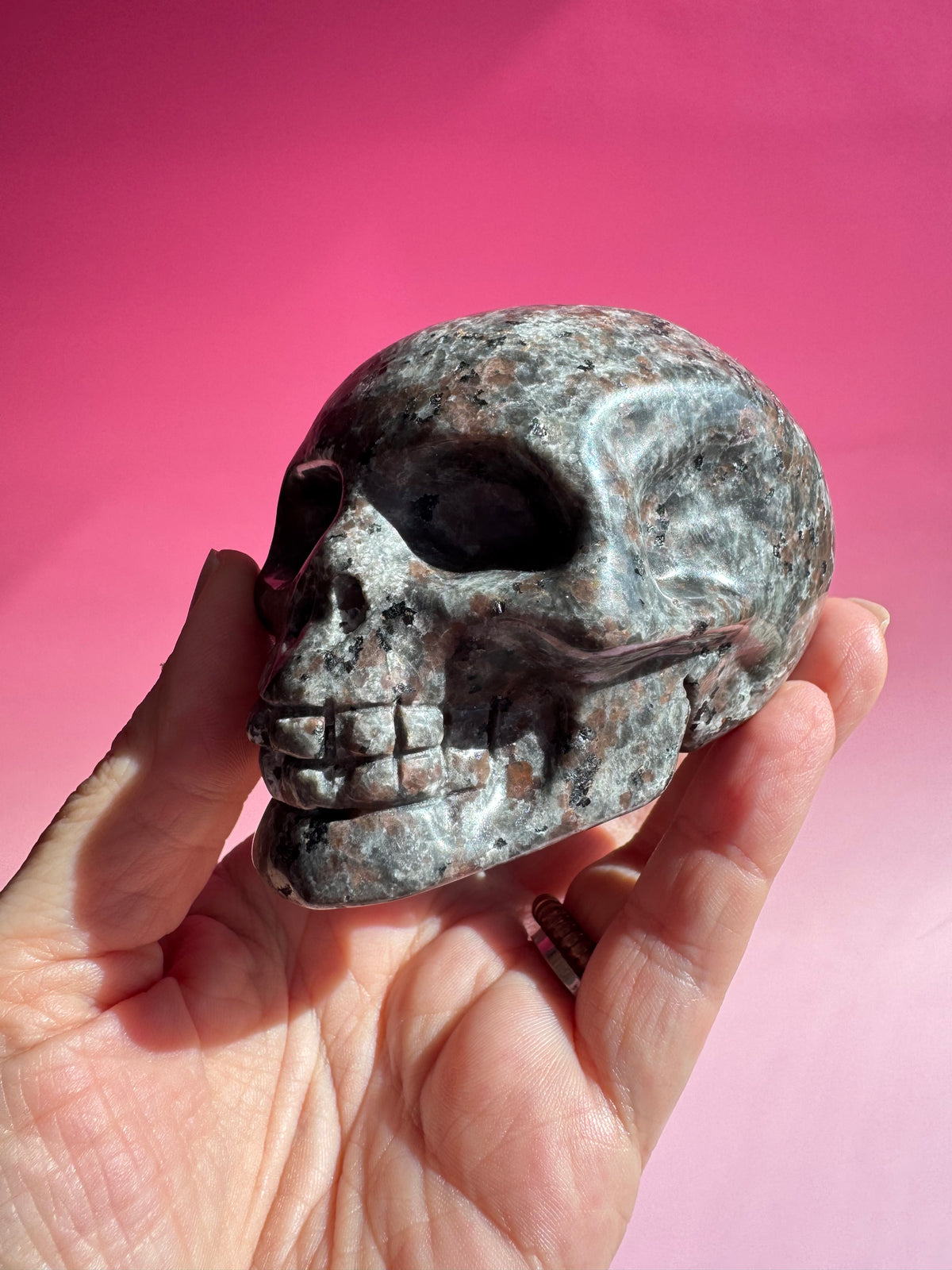 Yooperlite Skull Carving