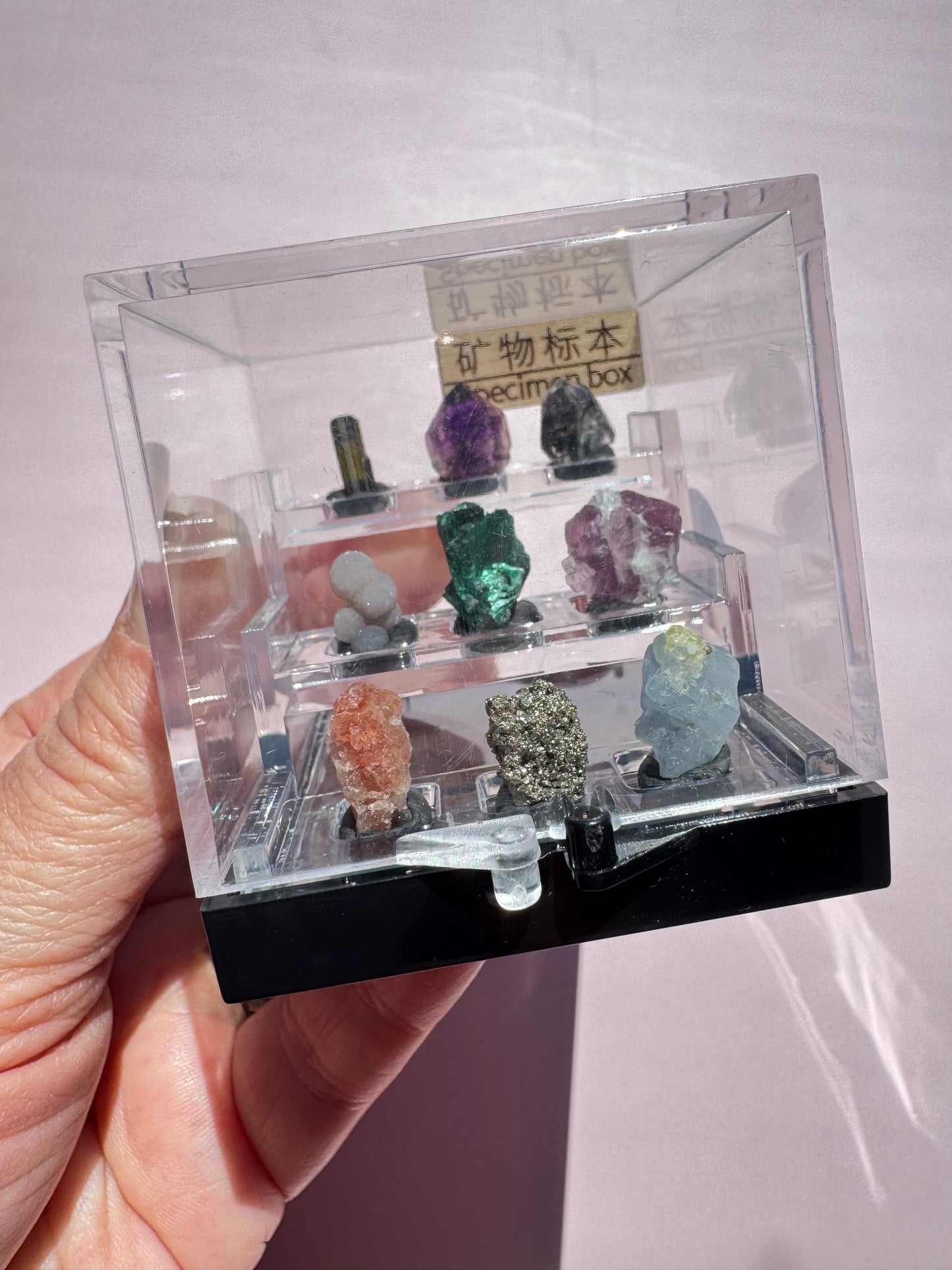 Mini Specimens Box - Set C