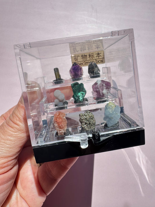 Mini Specimens Box - Set C
