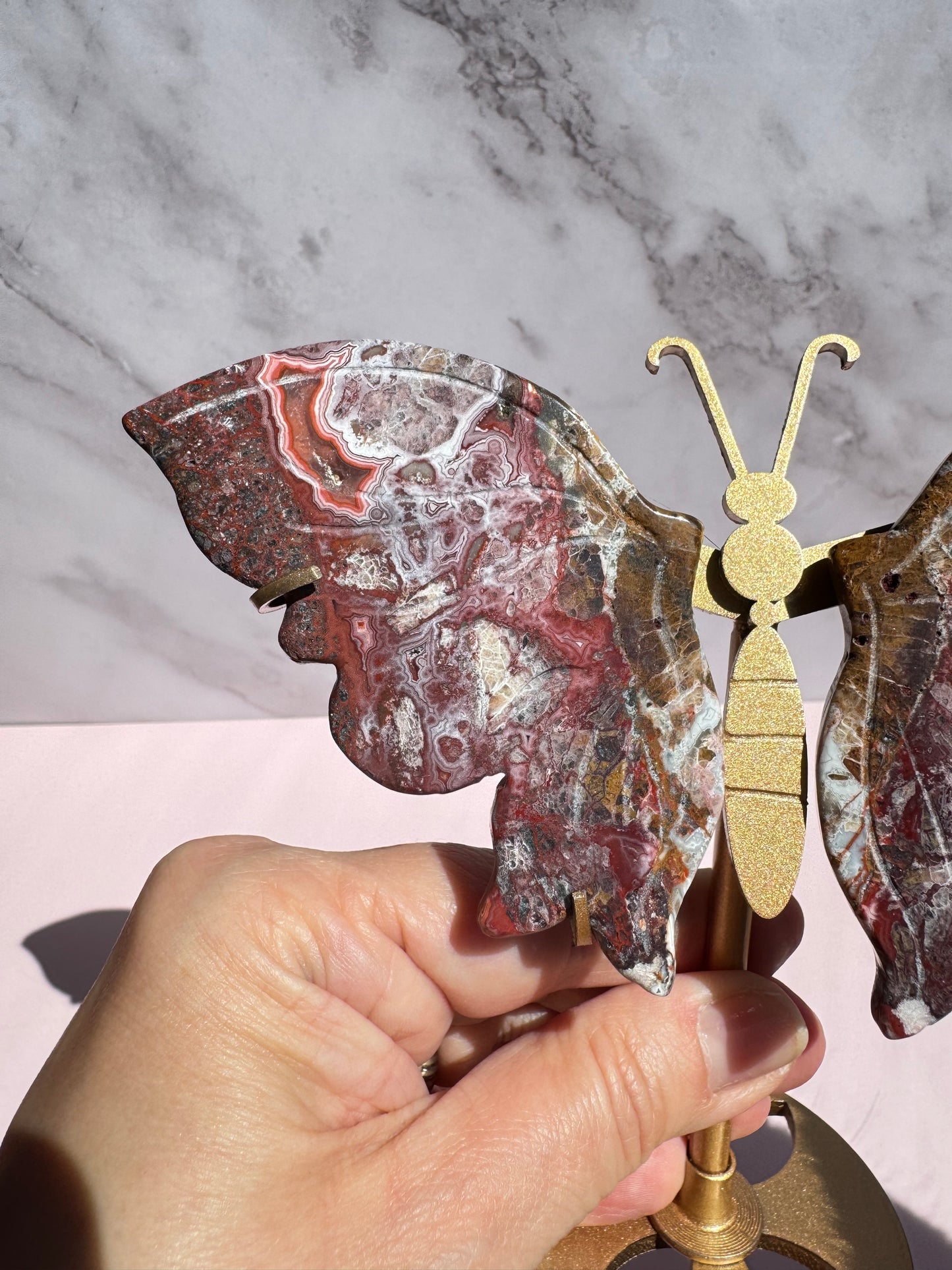Mexican Crazy Lace Agate Butterfly Wings with Stand