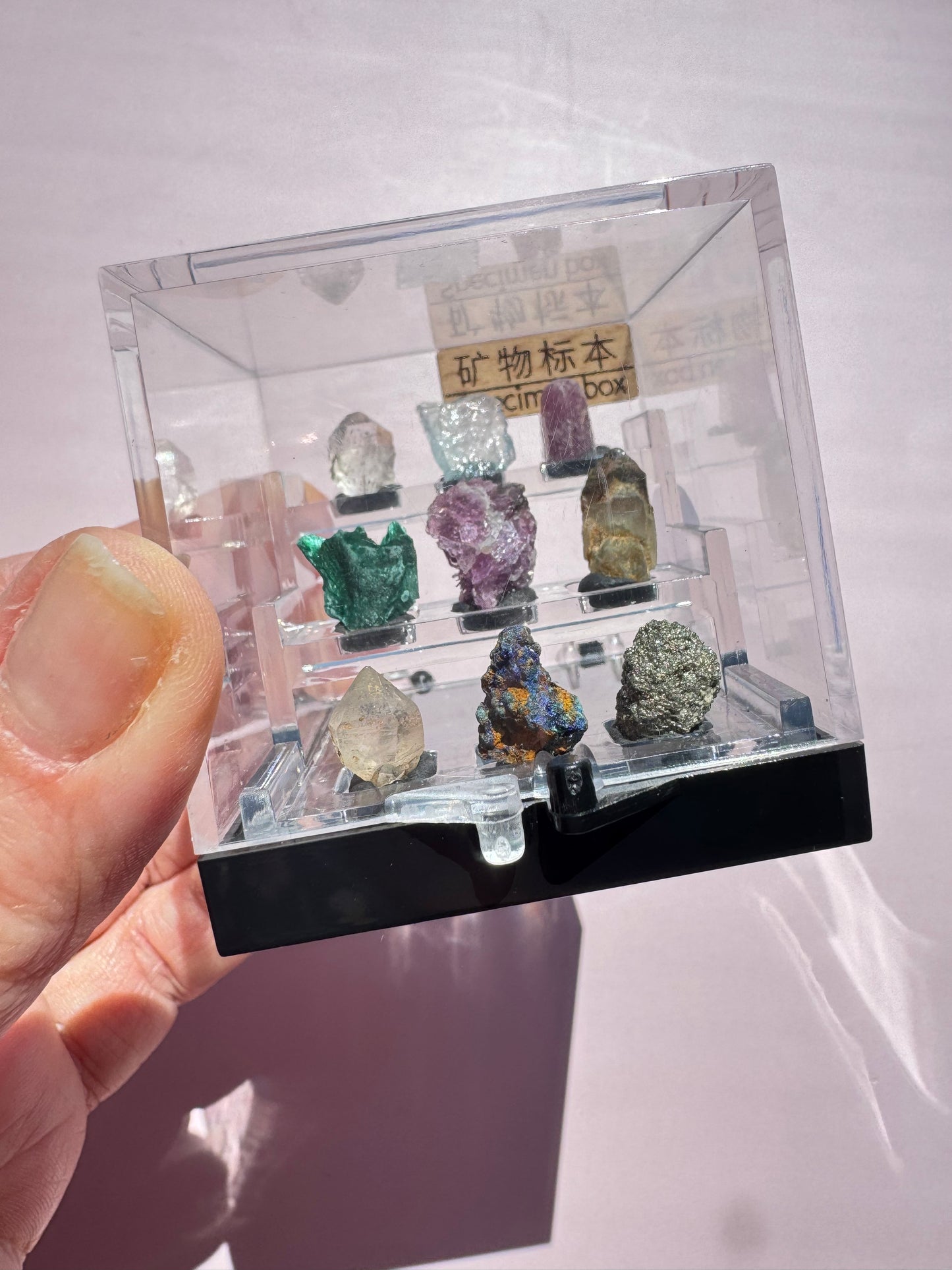 Mini Specimens Box - Set B