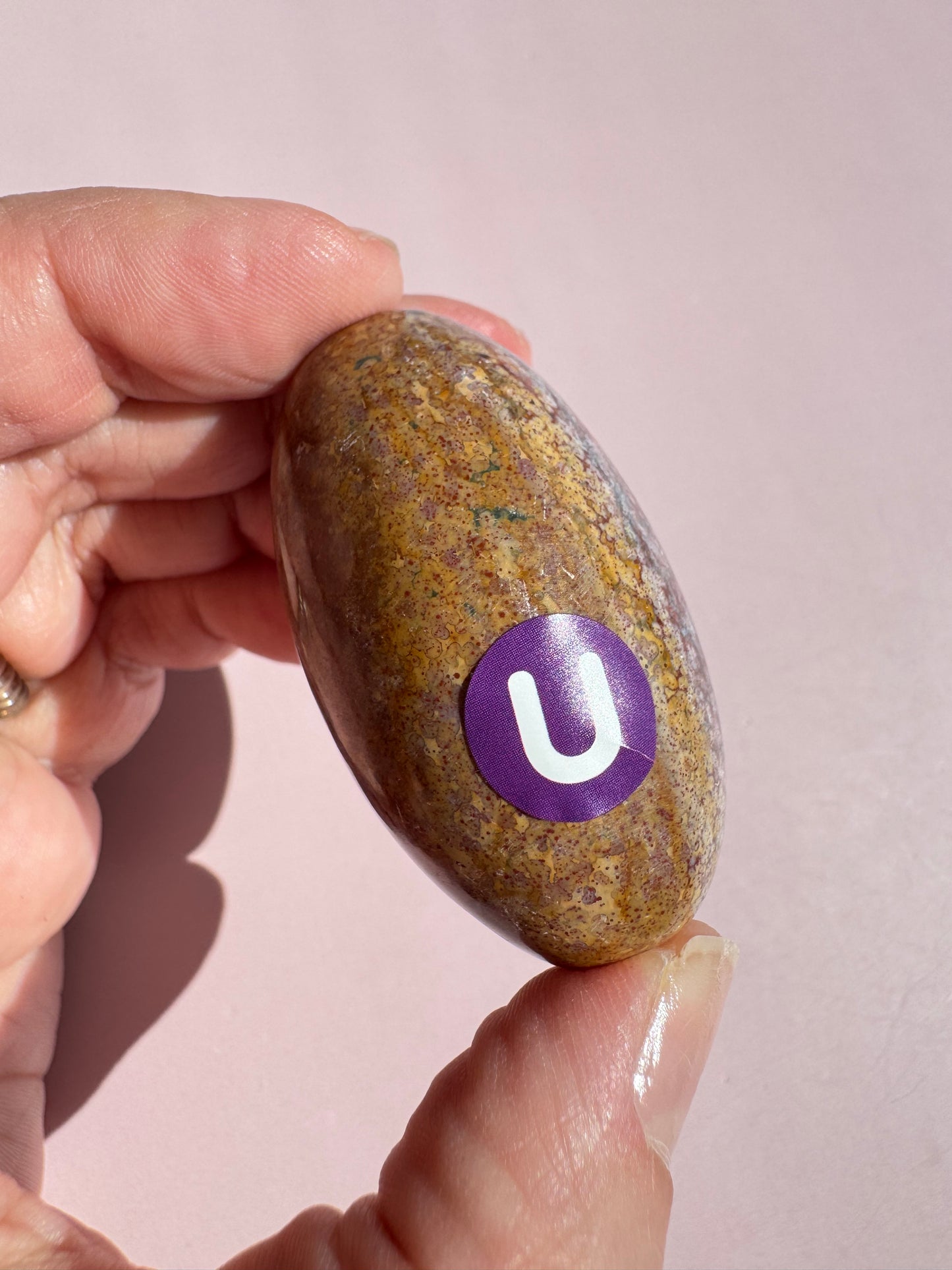 Unicorn Jasper Lingam - from India (Item U)