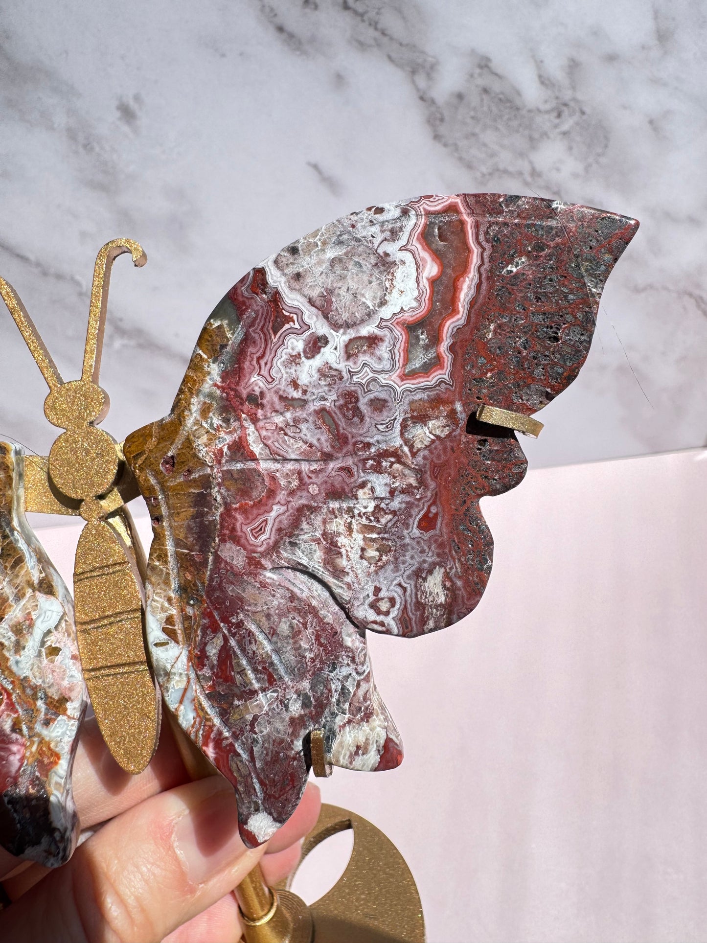 Mexican Crazy Lace Agate Butterfly Wings with Stand