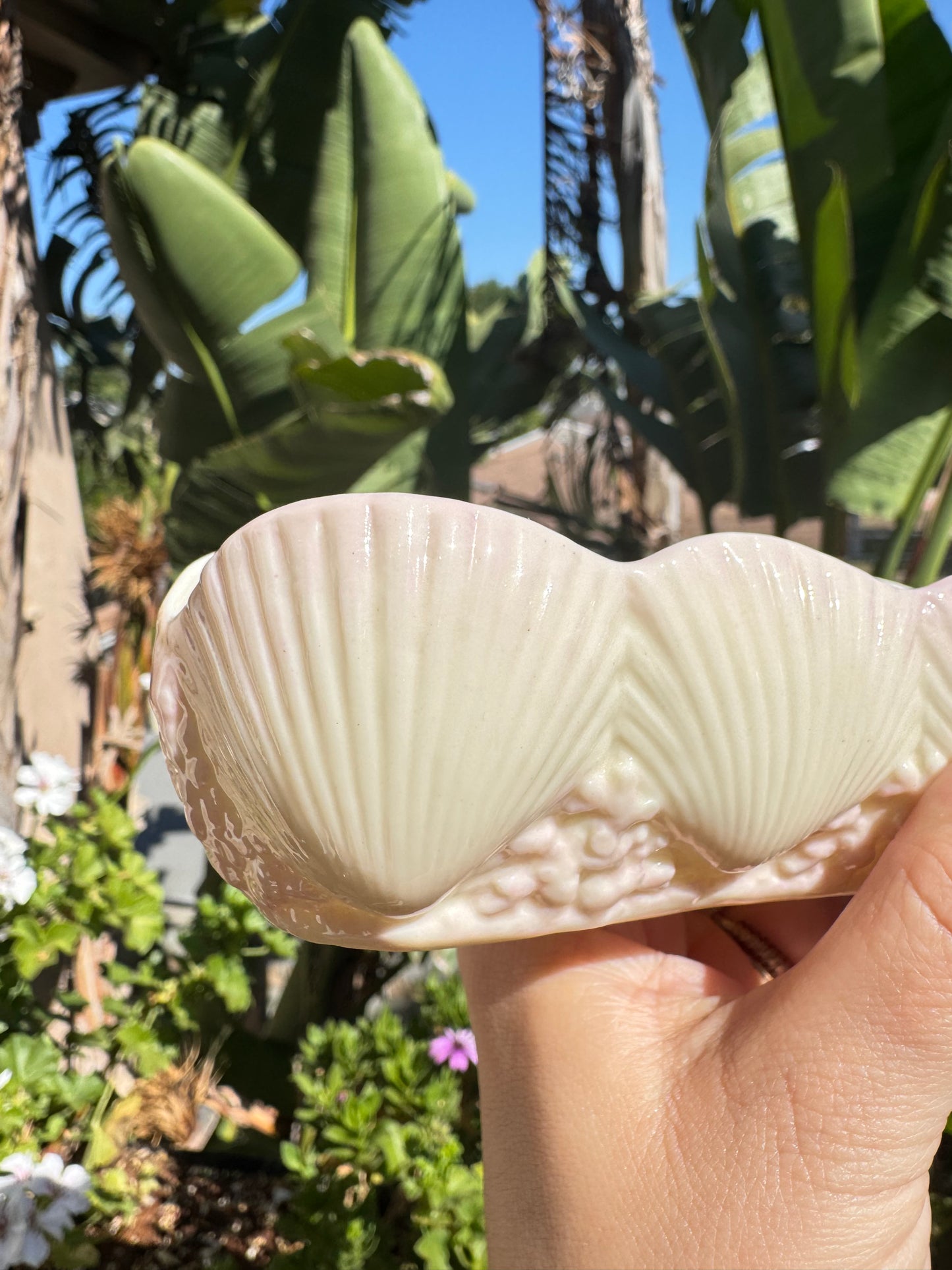 Curved Porcelain Pink Shell Bowl