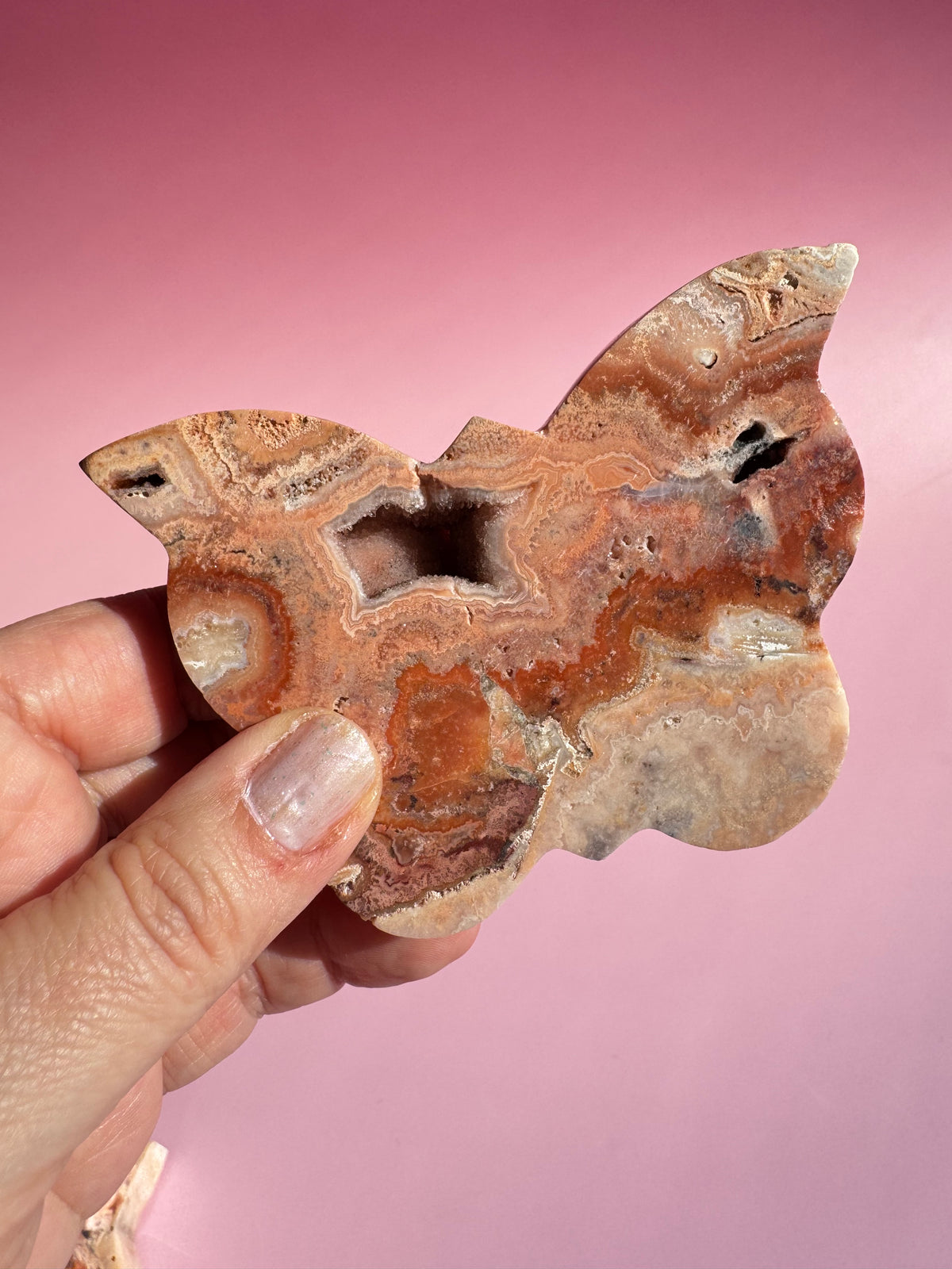 Pink Crazy Lace Agate Butterfly - ITEM F