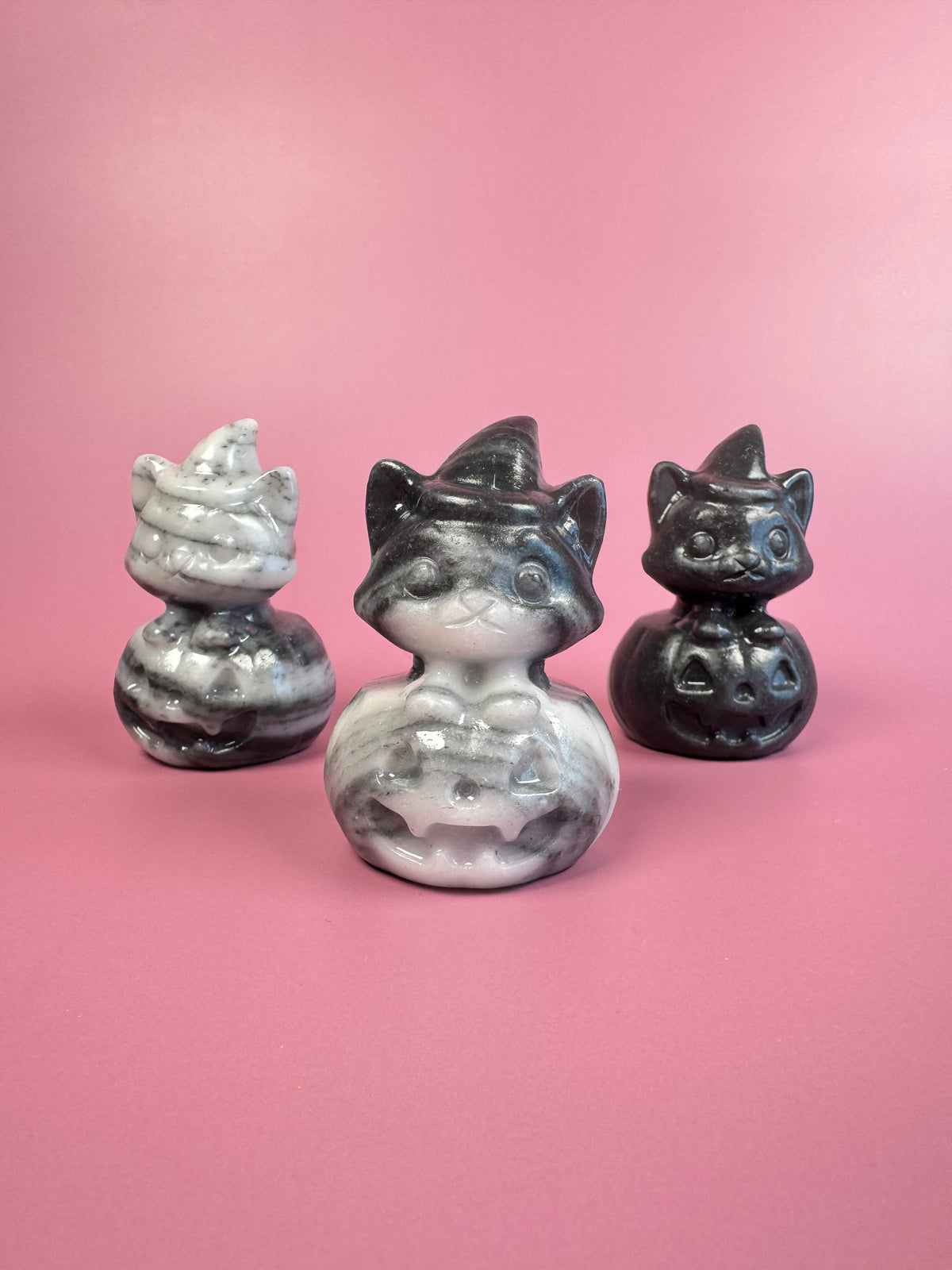 Tai Chi Stone Halloween Cat on Pumpkin Carving