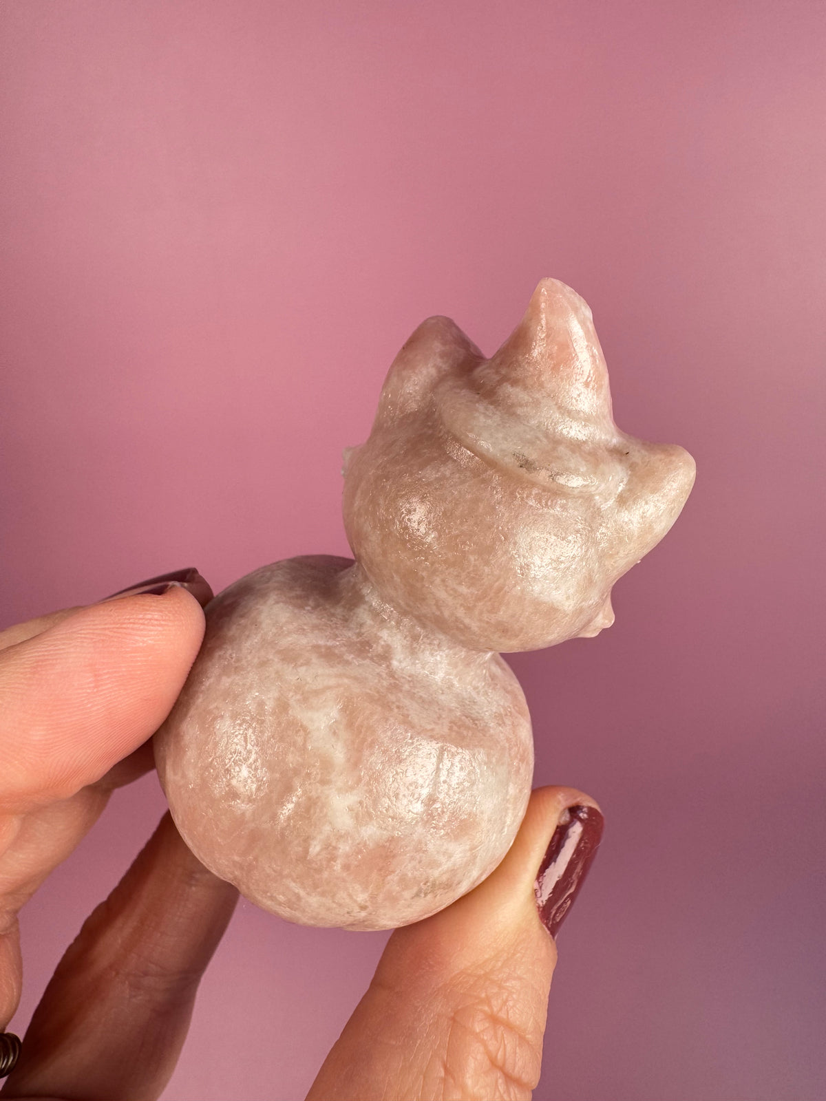 Pink Opal Halloween Cat on Pumpkin Carving