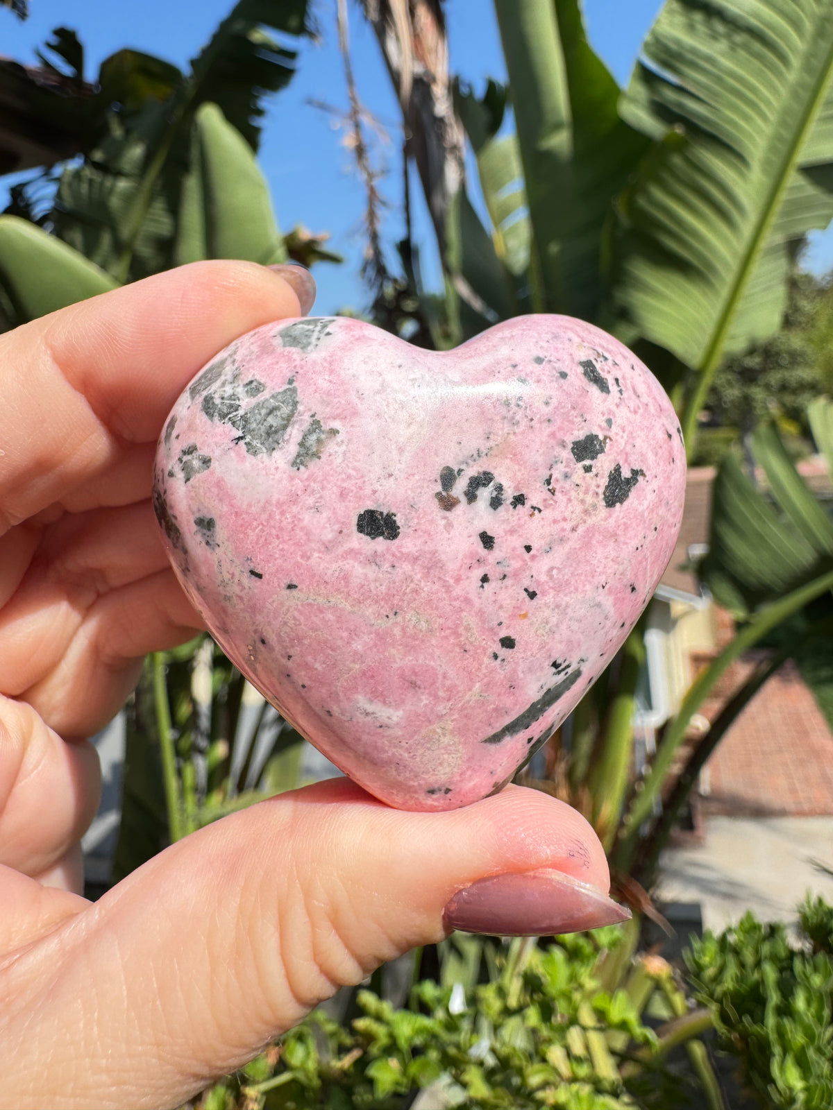 A hand holds the Bubblegum Rhodonite Puffy Heart Carving - Item A, a pink, heart-shaped crystal featuring black speckles, outdoors surrounded by green plants and under a blue sky.