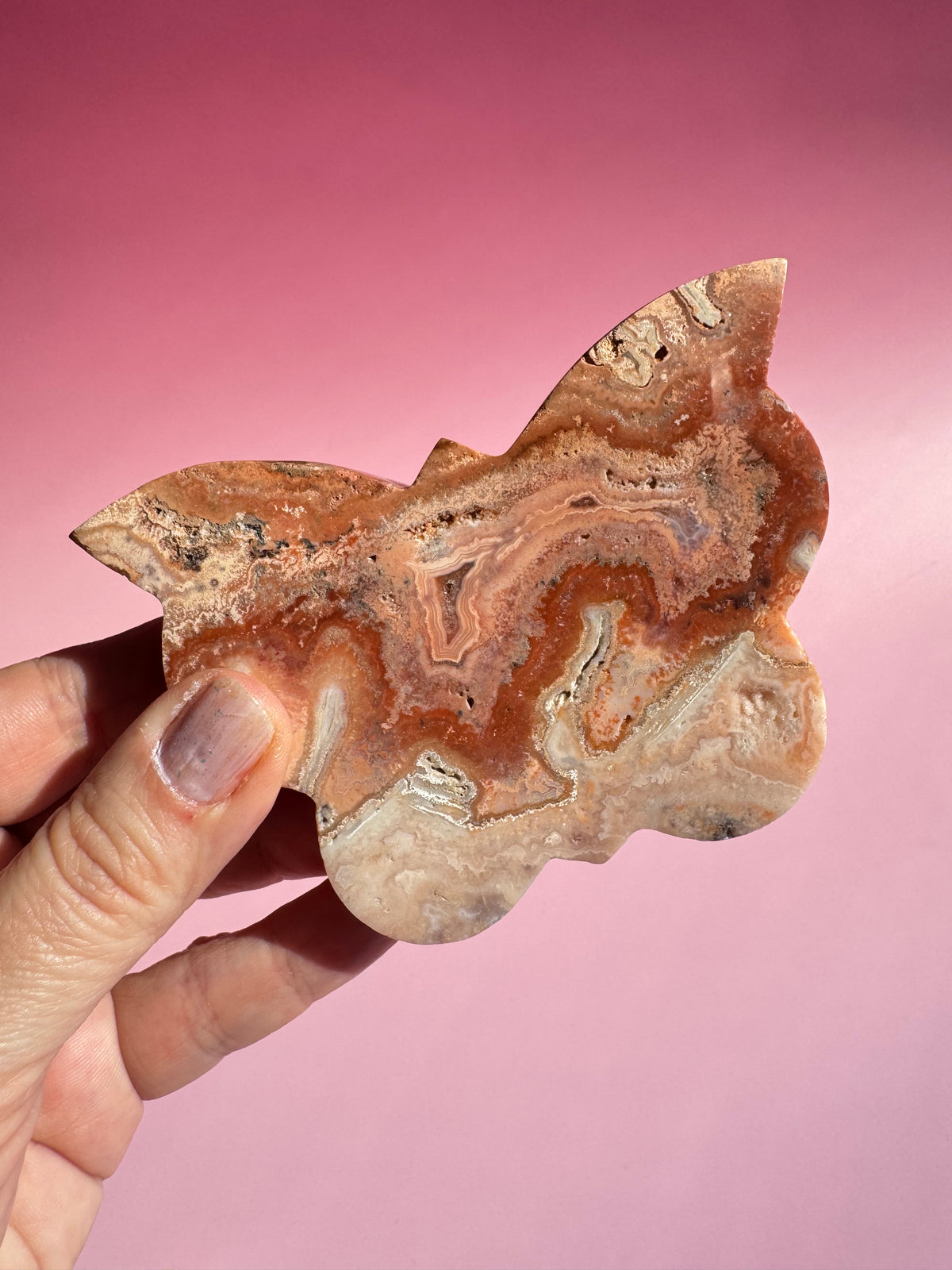 Pink Crazy Lace Agate Butterfly - ITEM I