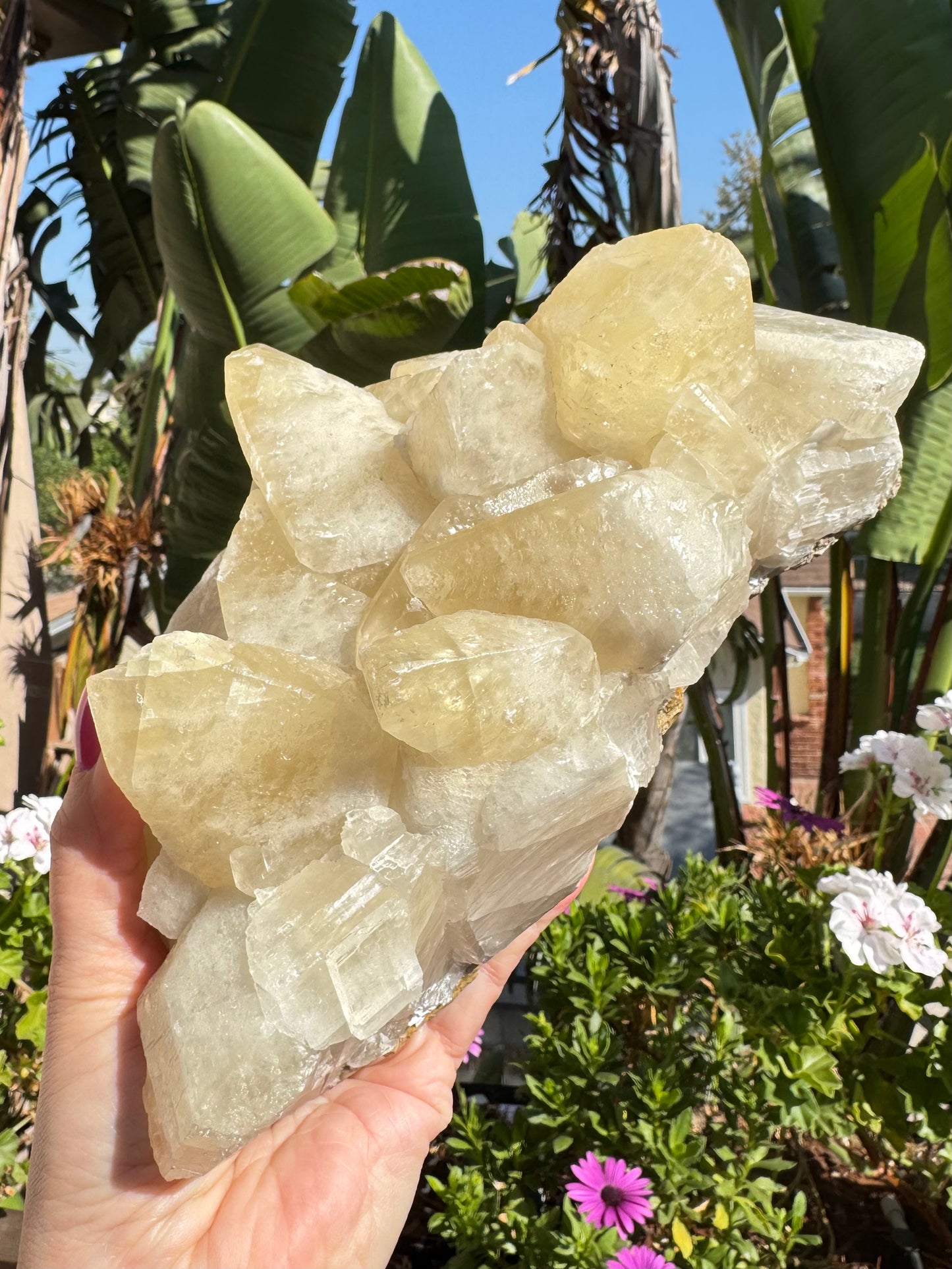 Yellow Calcite Cluster Statement Piece