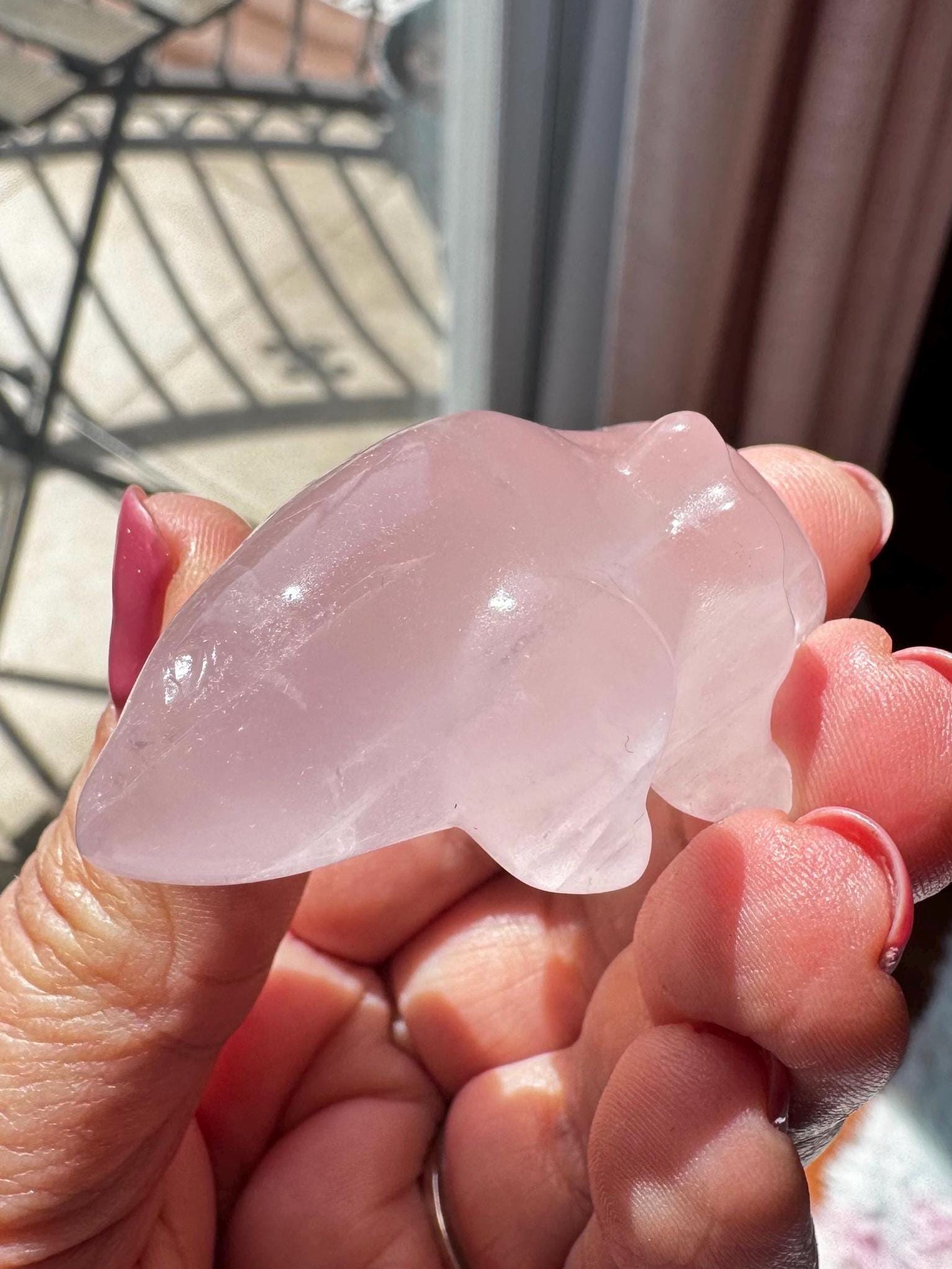 A hand holds a smooth, 2" rose quartz axolotl carving, its pink crystal shimmering in the sunlight—an ideal gift for healing crystal enthusiasts.