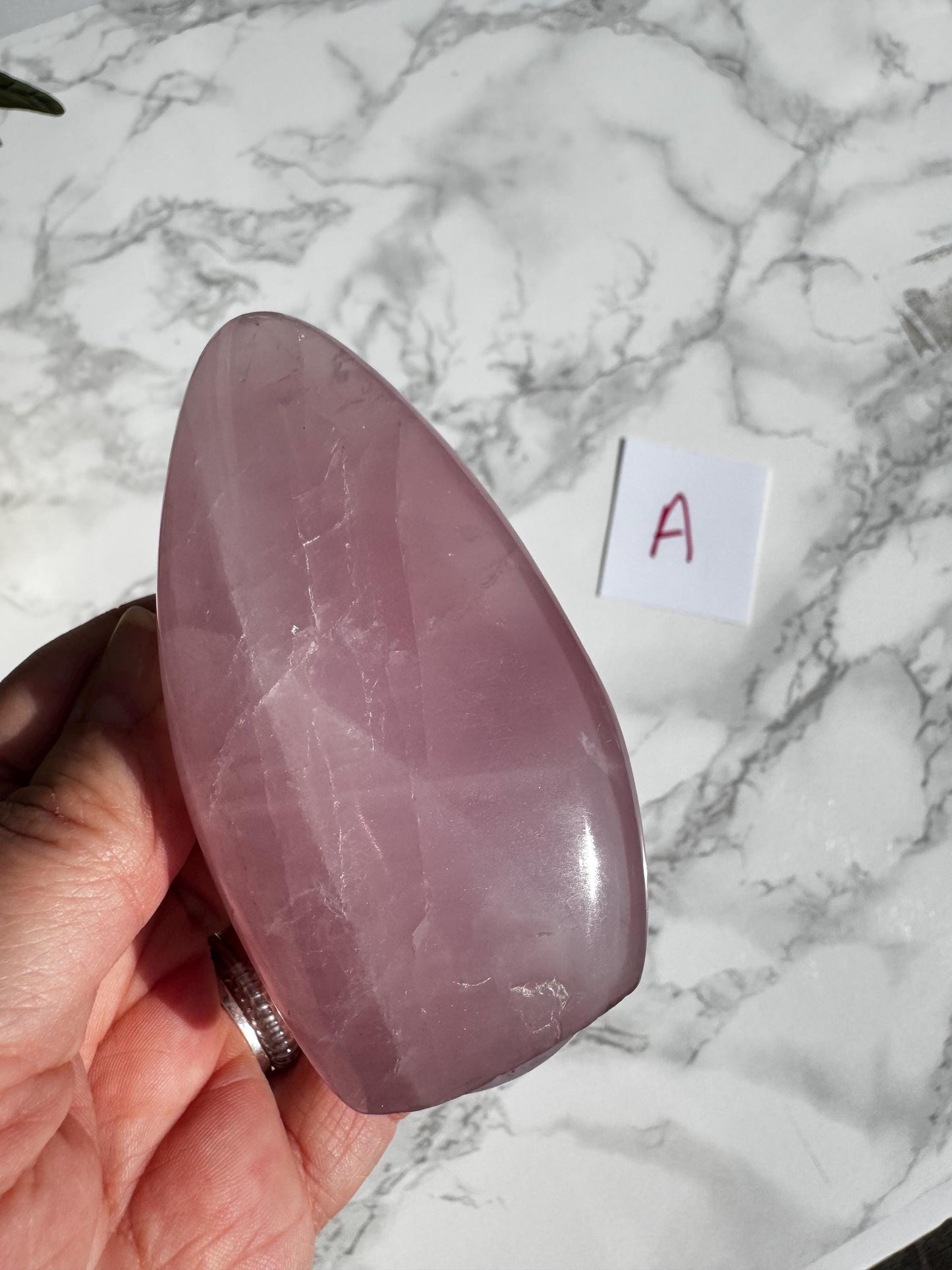Rose Quartz Freeform Carvings (3.5") - YOU CHOOSE