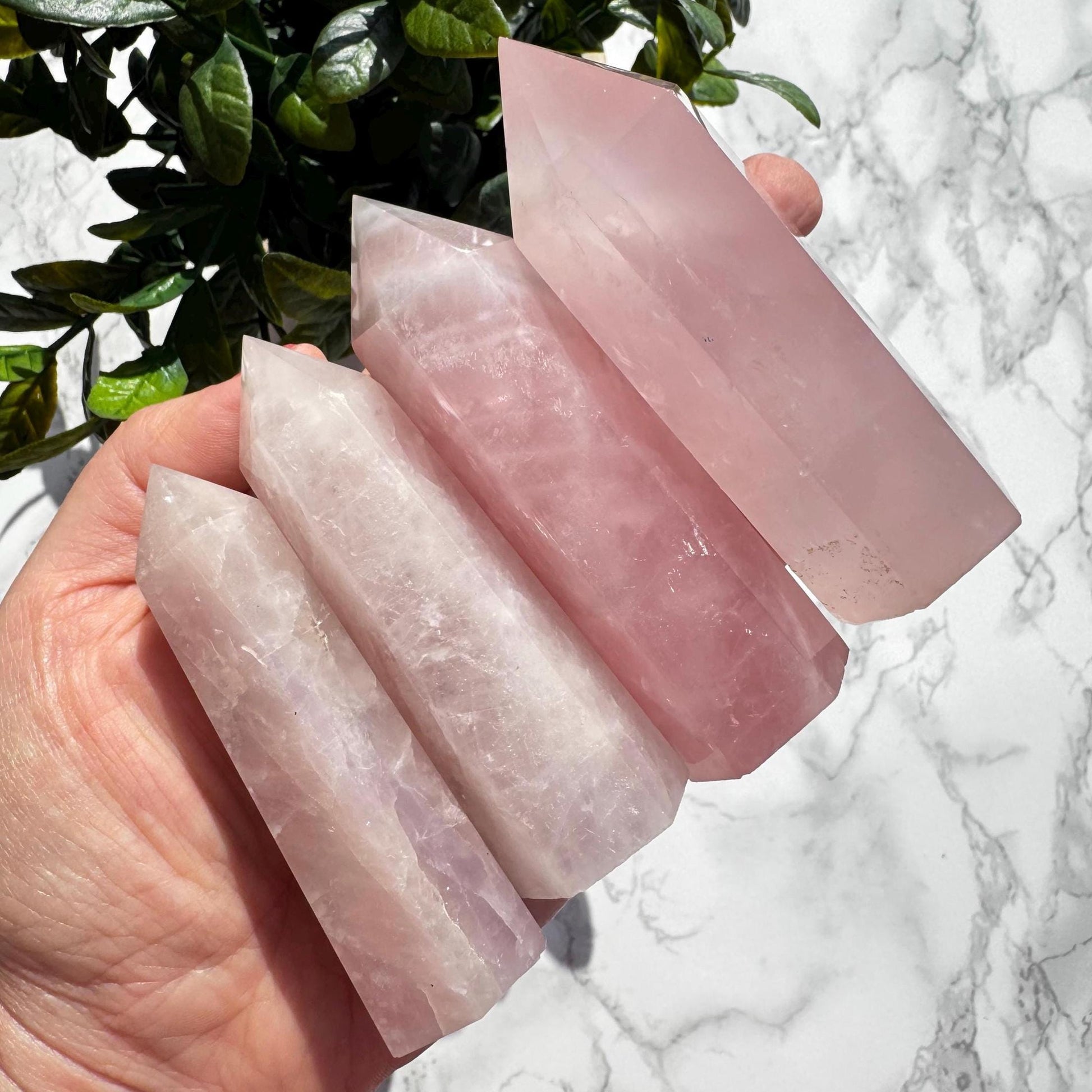 A hand holds four Rose Quartz Towers (3" - 3.6")—YOU CHOOSE from Small A, B, C, or D—displayed against green leaves and a white marble background.