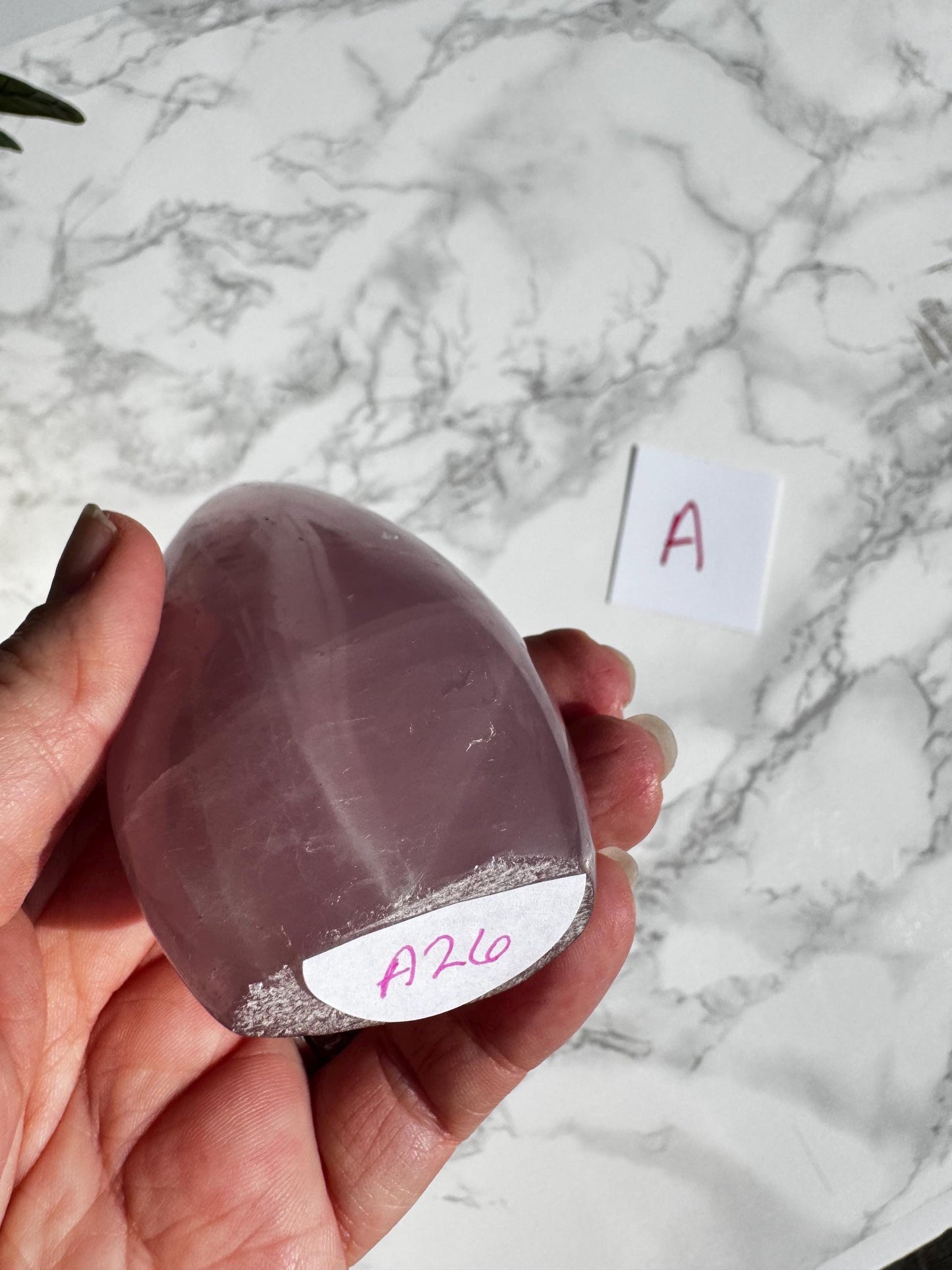Rose Quartz Freeform Carvings (3.5") - YOU CHOOSE