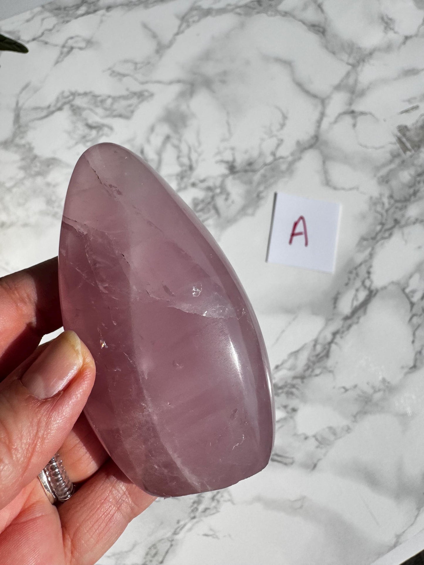 Rose Quartz Freeform Carvings (3.5") - YOU CHOOSE