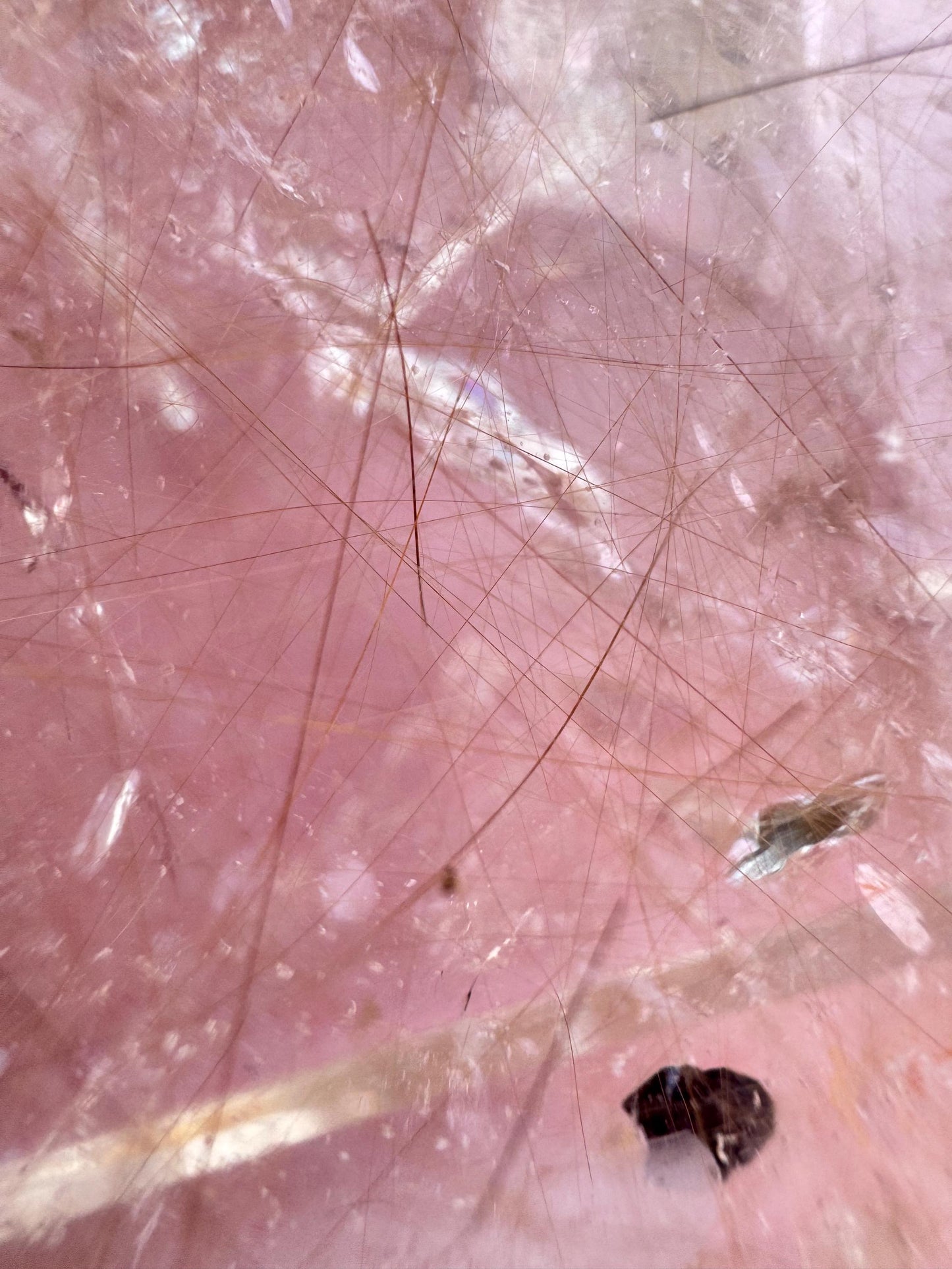 Clear Quartz Point with Golden Rutile Inclusions from Brazil - Item C