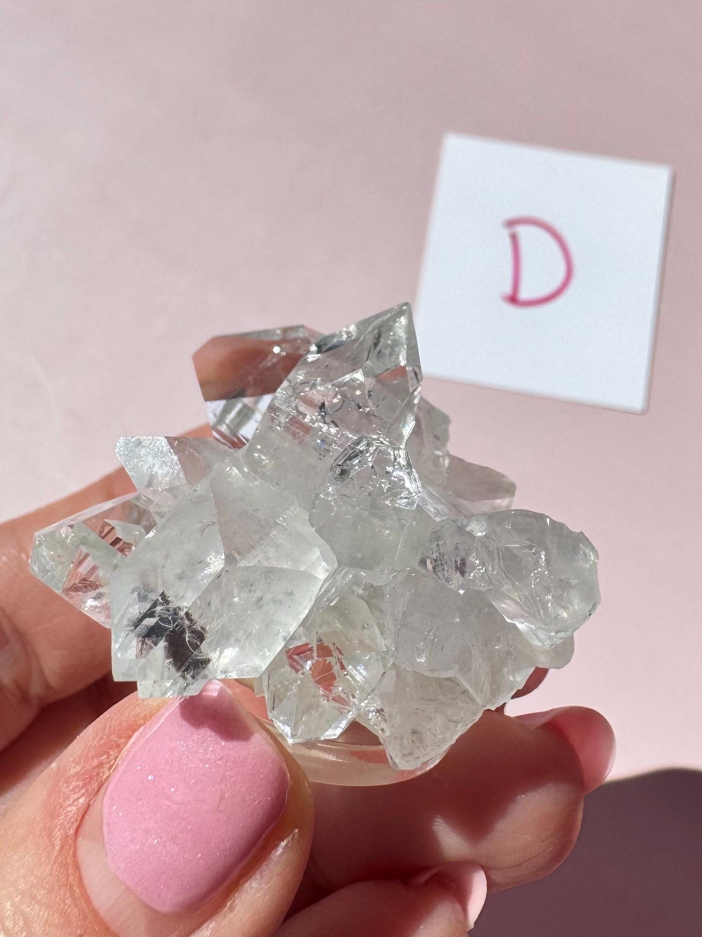 A hand with pink nail polish holds an Apophyllite Cluster from India (ITEM D, Nice Quality Crystal Formation); a white card with a pink "D" stands in the background, adding to the scene’s sense of spiritual clarity.