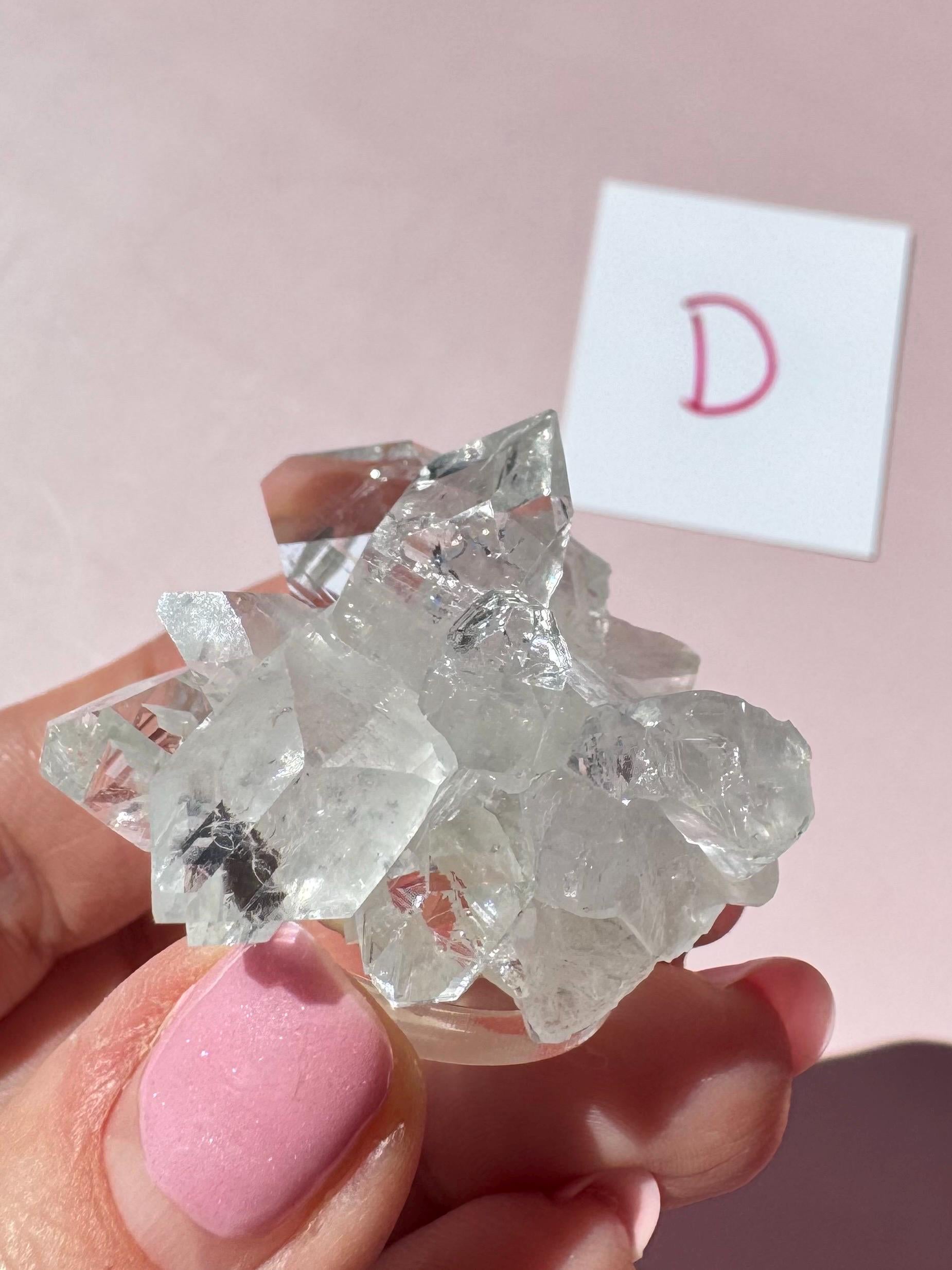 A hand with pink nail polish holds an Apophyllite Cluster from India (ITEM D, Nice Quality Crystal Formation); a white card with a pink "D" stands in the background, adding to the scene’s sense of spiritual clarity.