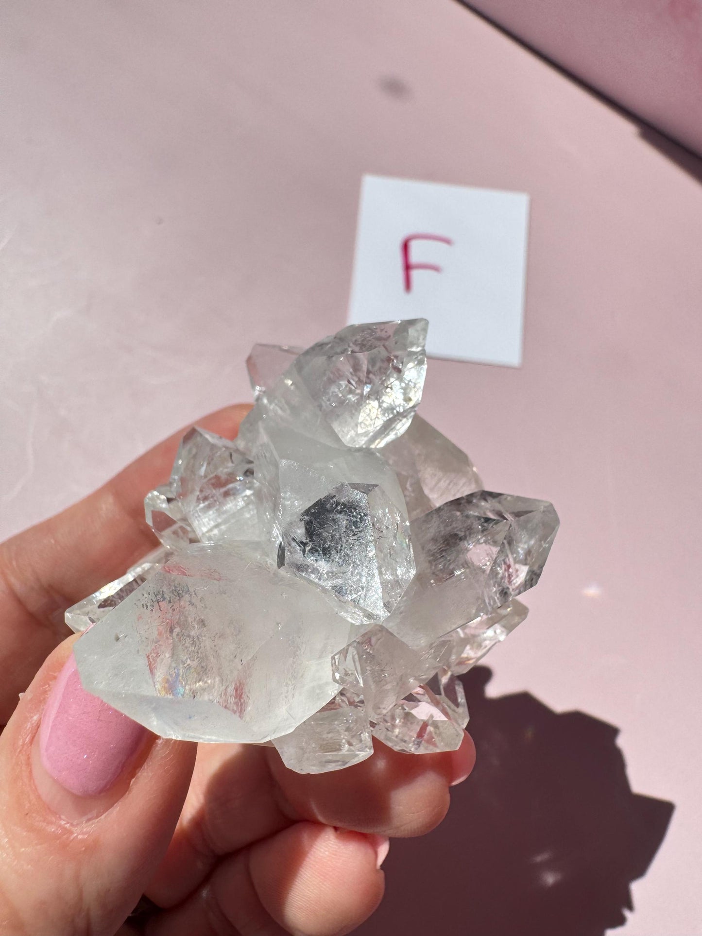 A hand holds an Apophyllite Cluster from India (ITEM F) with a white card labeled "F" in the background, displayed on a pink surface.