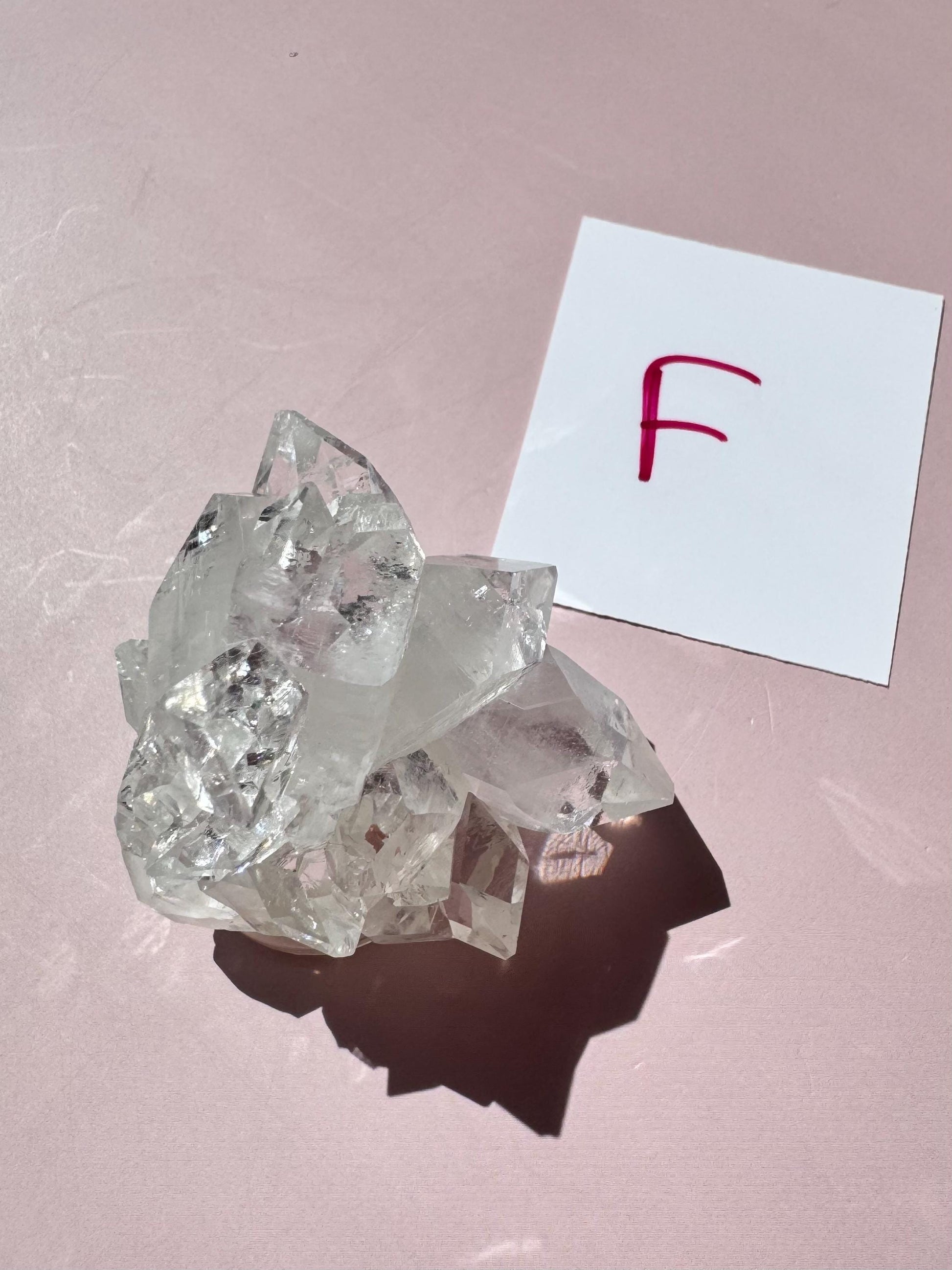 An Apophyllite Cluster from India (ITEM F, nice quality crystal formation) rests on a light pink surface next to a white card marked with a red "F".