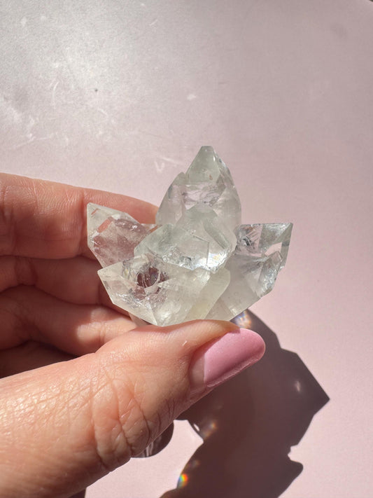 A hand with pink-painted nails holds the Apophyllite Cluster from India - ITEM C, radiating spiritual clarity against a pale pink background.