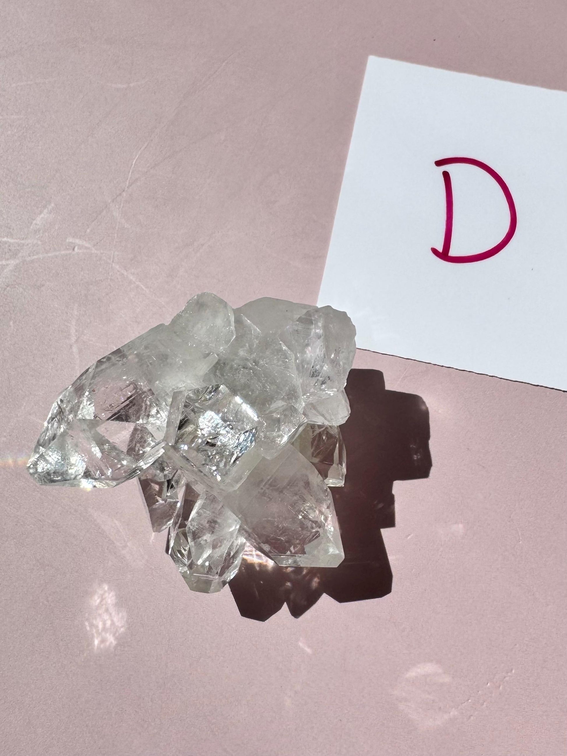 Apophyllite Cluster from India - ITEM D, a quality crystal formation known for clarity, rests on a pink surface beside a white card with a bold red "D".