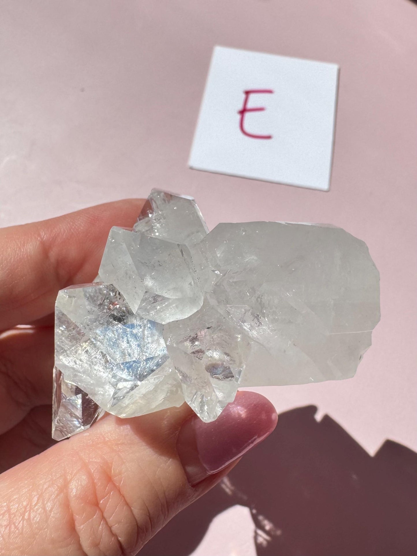 A hand holds an Apophyllite Cluster from India (ITEM E, nice quality crystal formation), with a white card labeled “E” in red ink visible in the background.