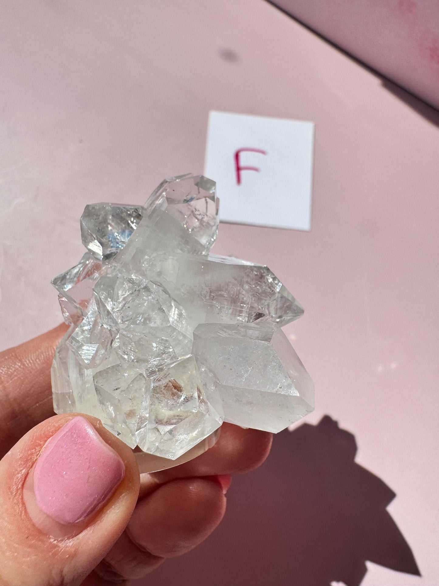 A hand holds an Apophyllite Cluster from India (ITEM F, nice quality crystal formation); a white card with a red "F" rests on a pink surface in the background.