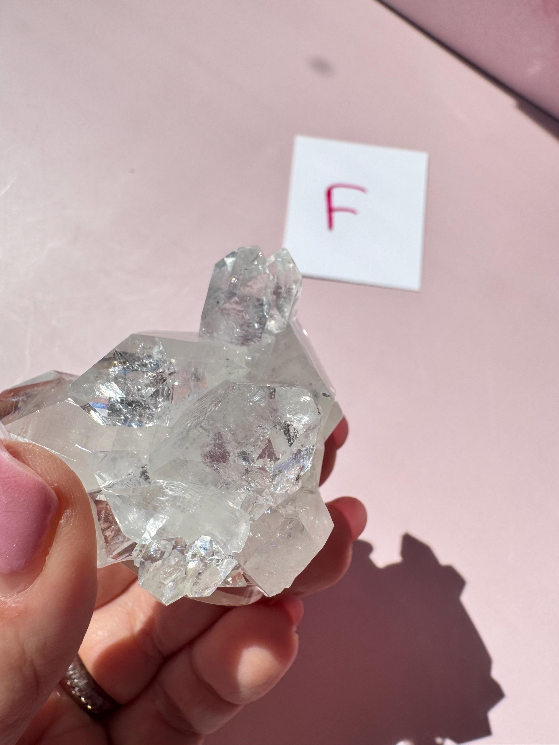 A hand holding an Apophyllite Cluster from India (ITEM F) with a white card showing "F" in the background, displayed on a pink surface.