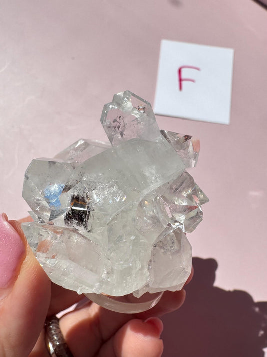 A hand holds an Apophyllite Cluster from India—ITEM F, Nice Quality Crystal Formation—known for promoting spiritual clarity, with a white card marked "F" in the background.