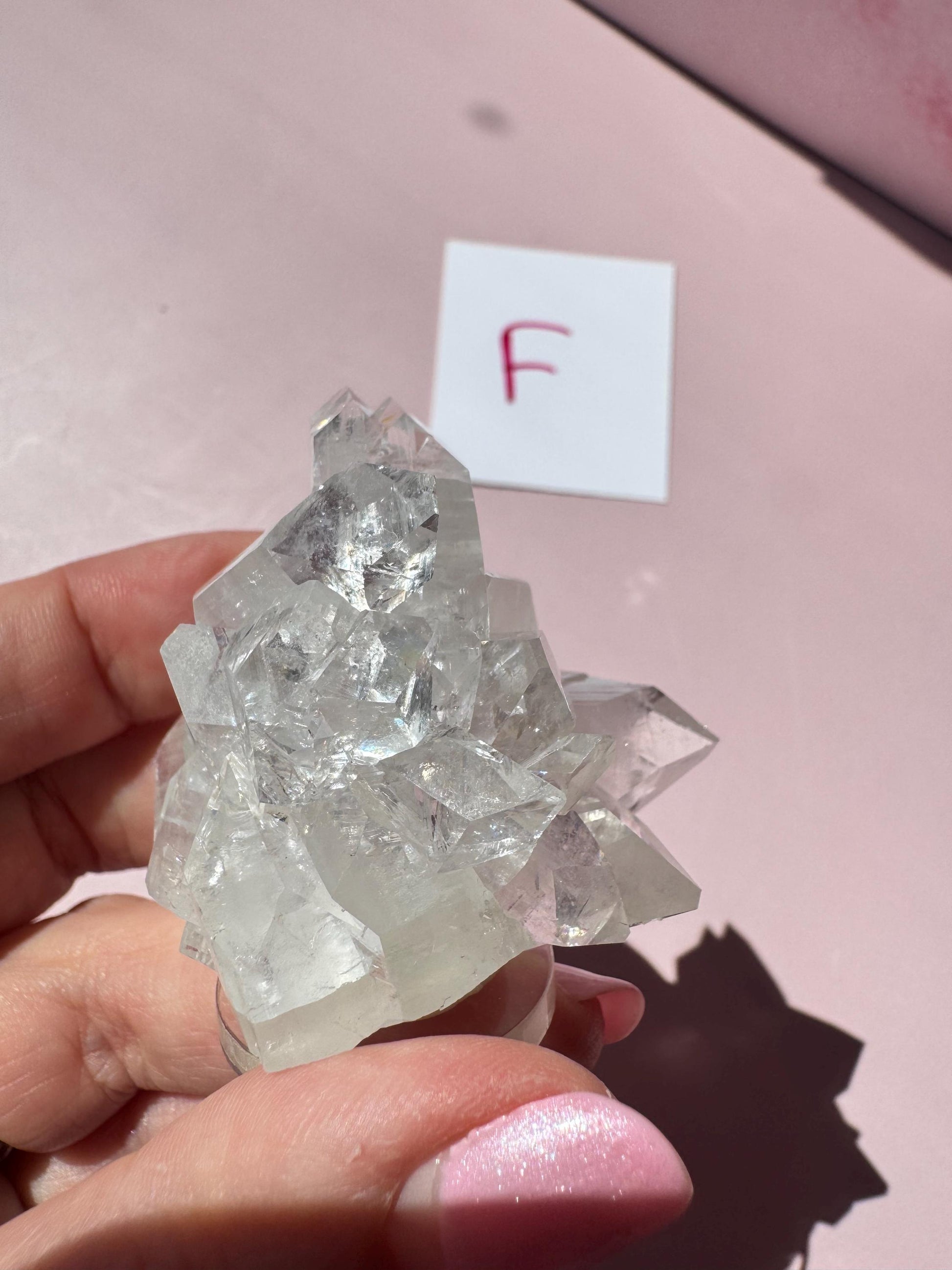A hand holds an Apophyllite Cluster from India (ITEM F, Nice Quality Crystal Formation); a white card marked "F" appears in the background, highlighting the crystal’s clarity and appeal.