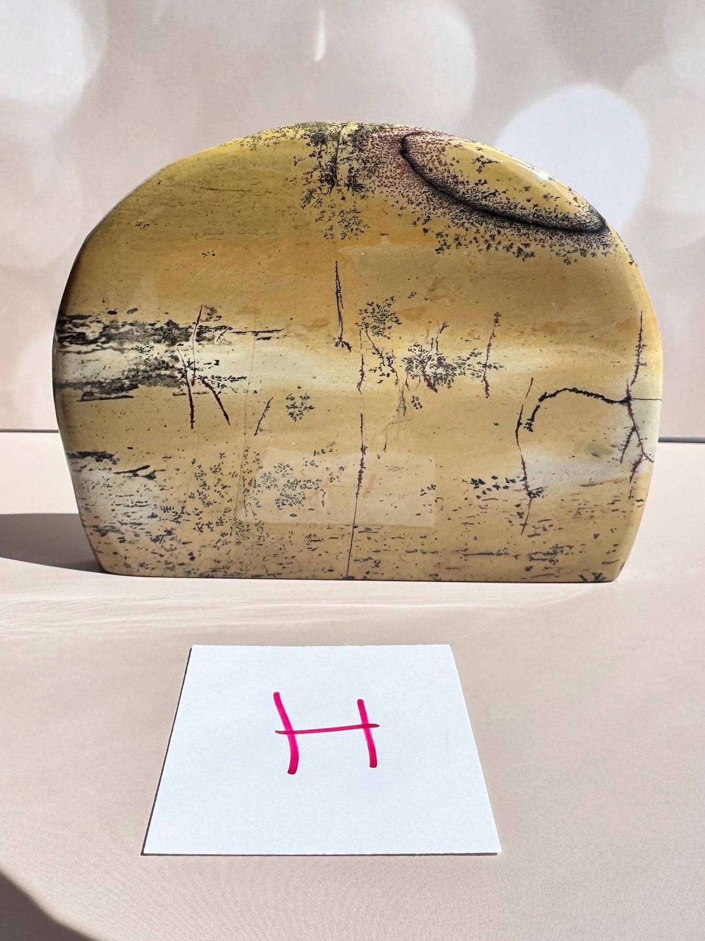 Picture Jasper Freeforms - YOU CHOOSE