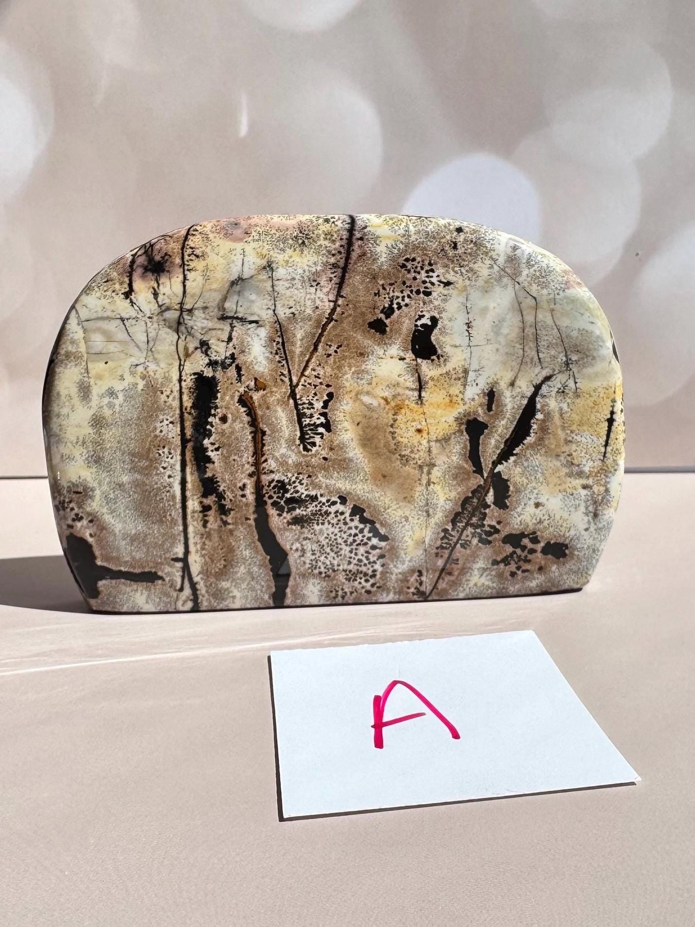 Picture Jasper Freeforms - YOU CHOOSE
